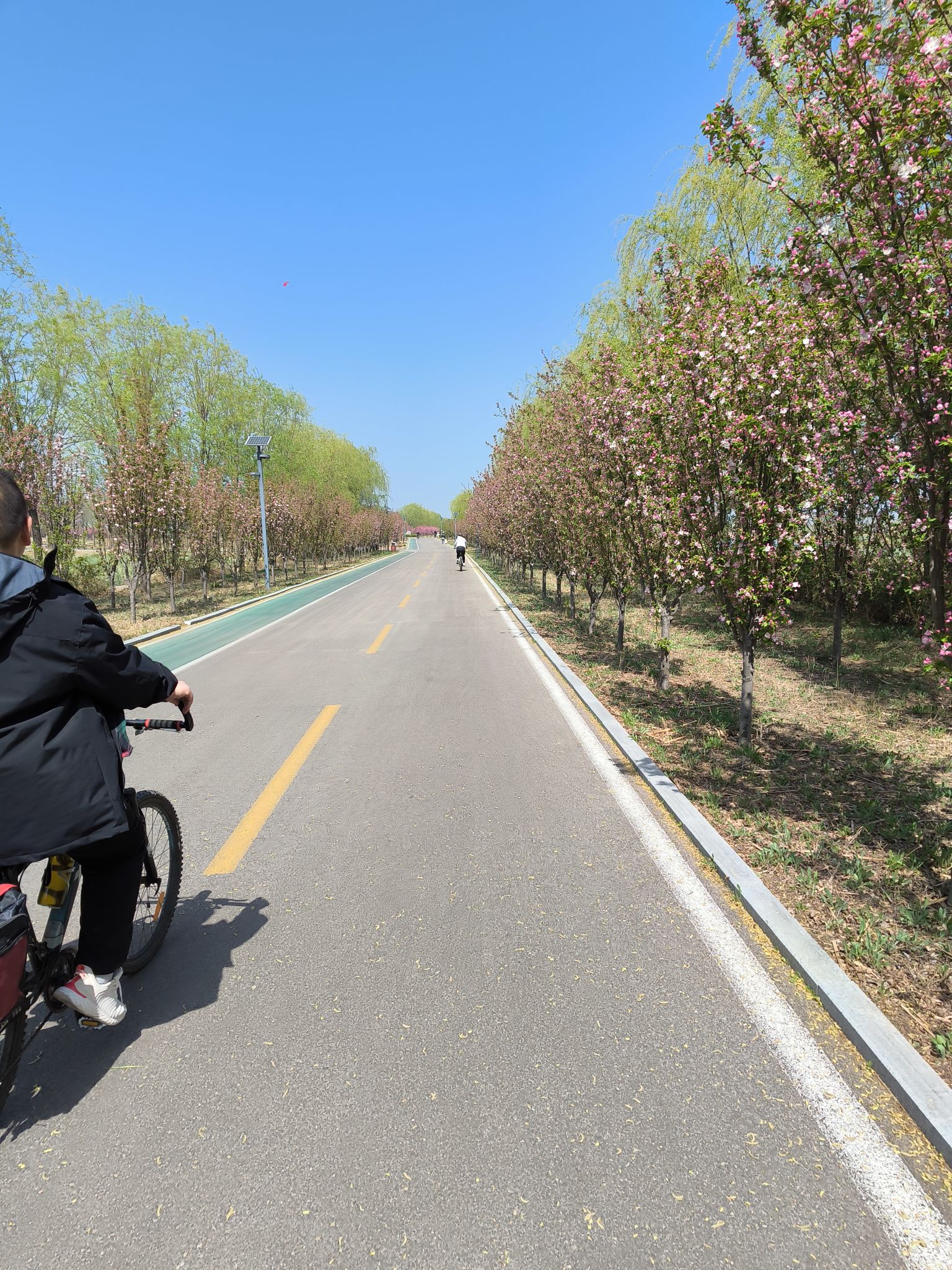龙湖湿地公园旅行图片 3