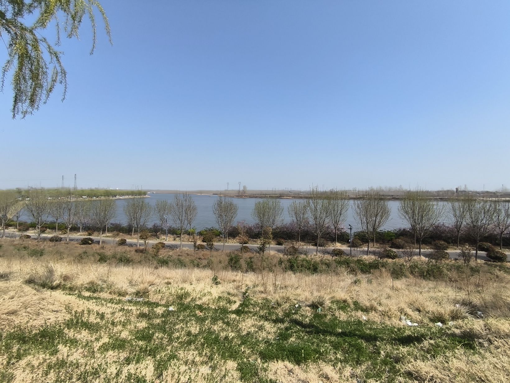 龙湖湿地公园旅行图片 1
