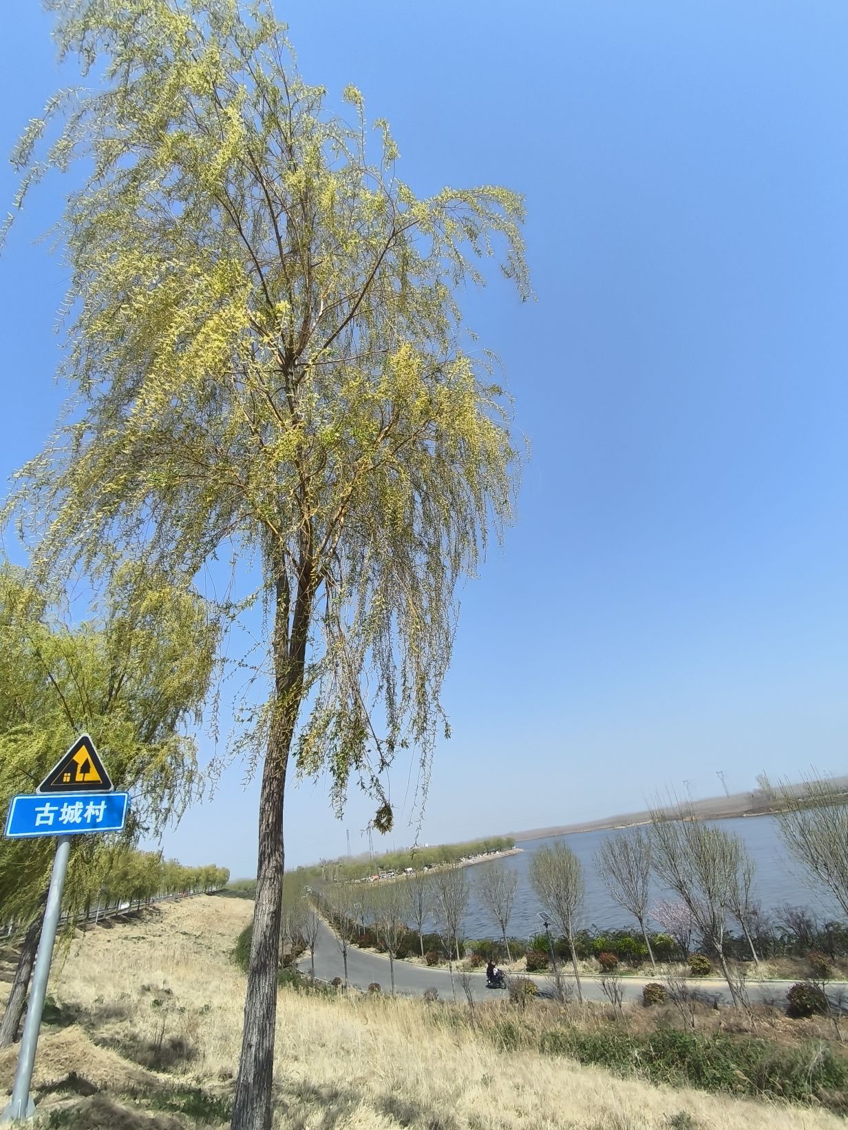 龙湖湿地公园旅行图片 2