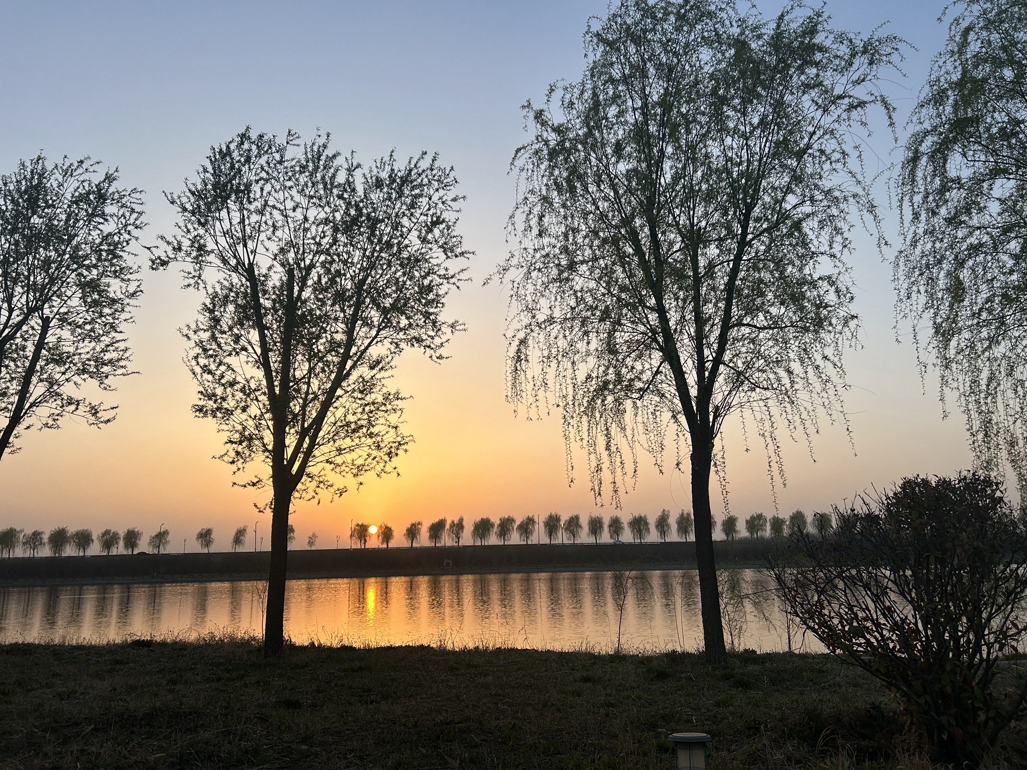 龙湖湿地公园旅行图片 1