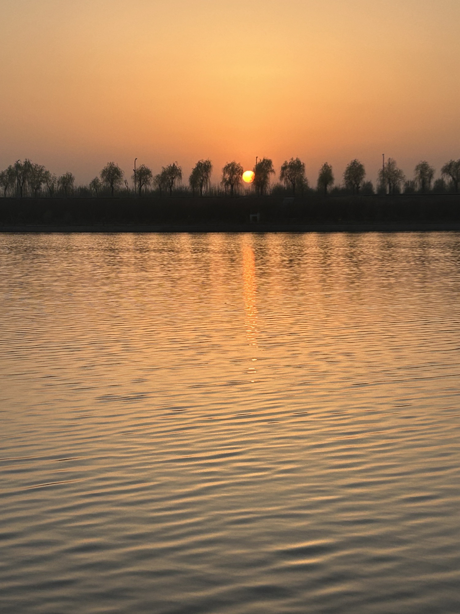 龙湖湿地公园旅行图片 2