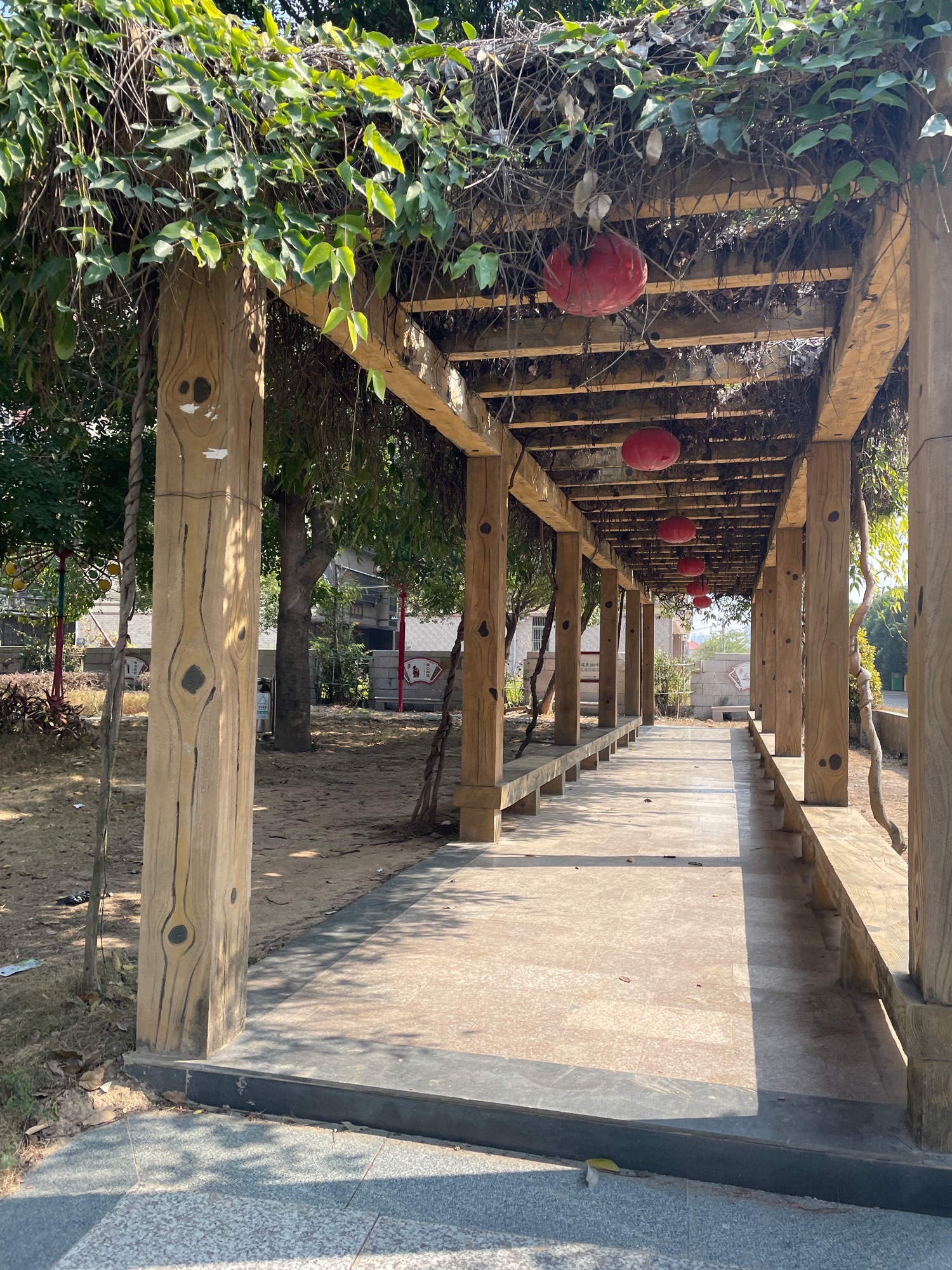 交丙坛文化主题公园旅行图片 2