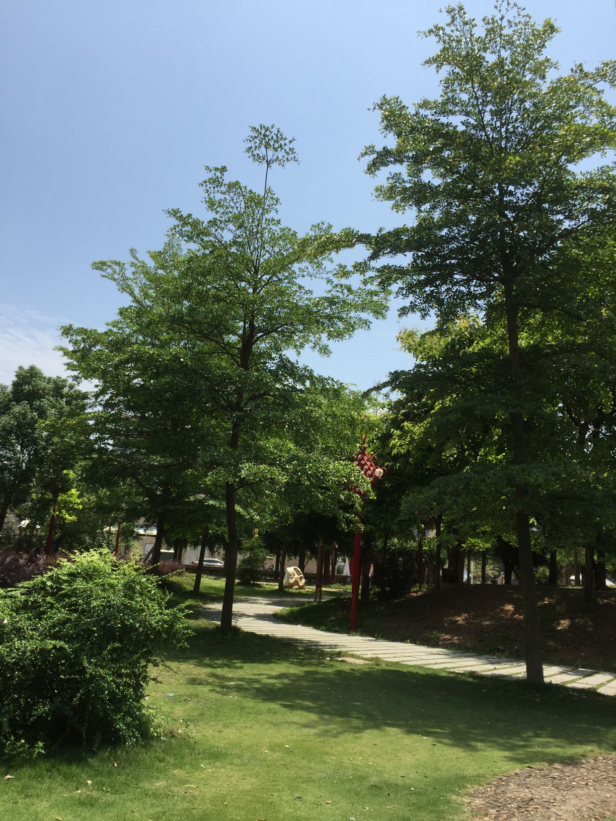 交丙坛文化主题公园旅行图片 1