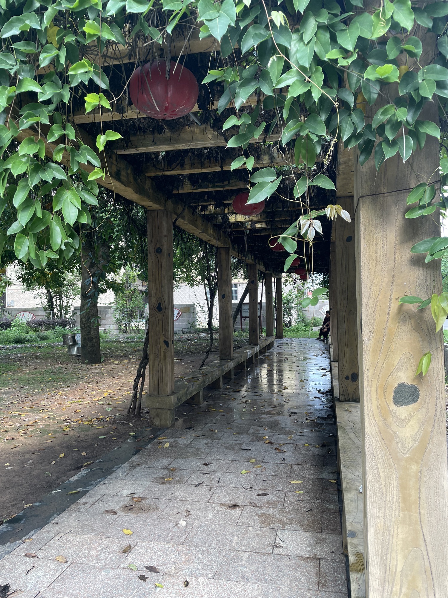 交丙坛文化主题公园旅行图片 3
