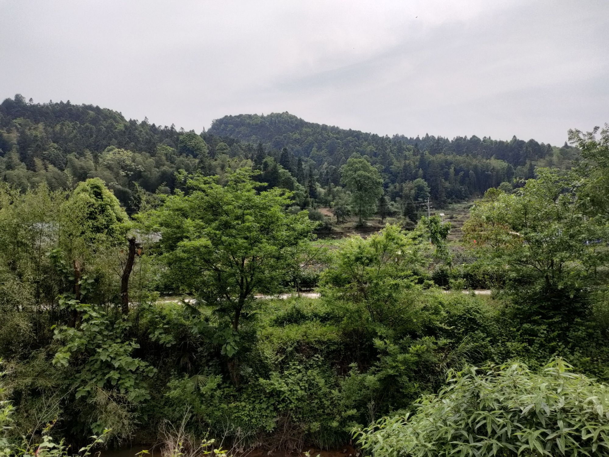 富民村花海迷宫文创园旅行图片 1