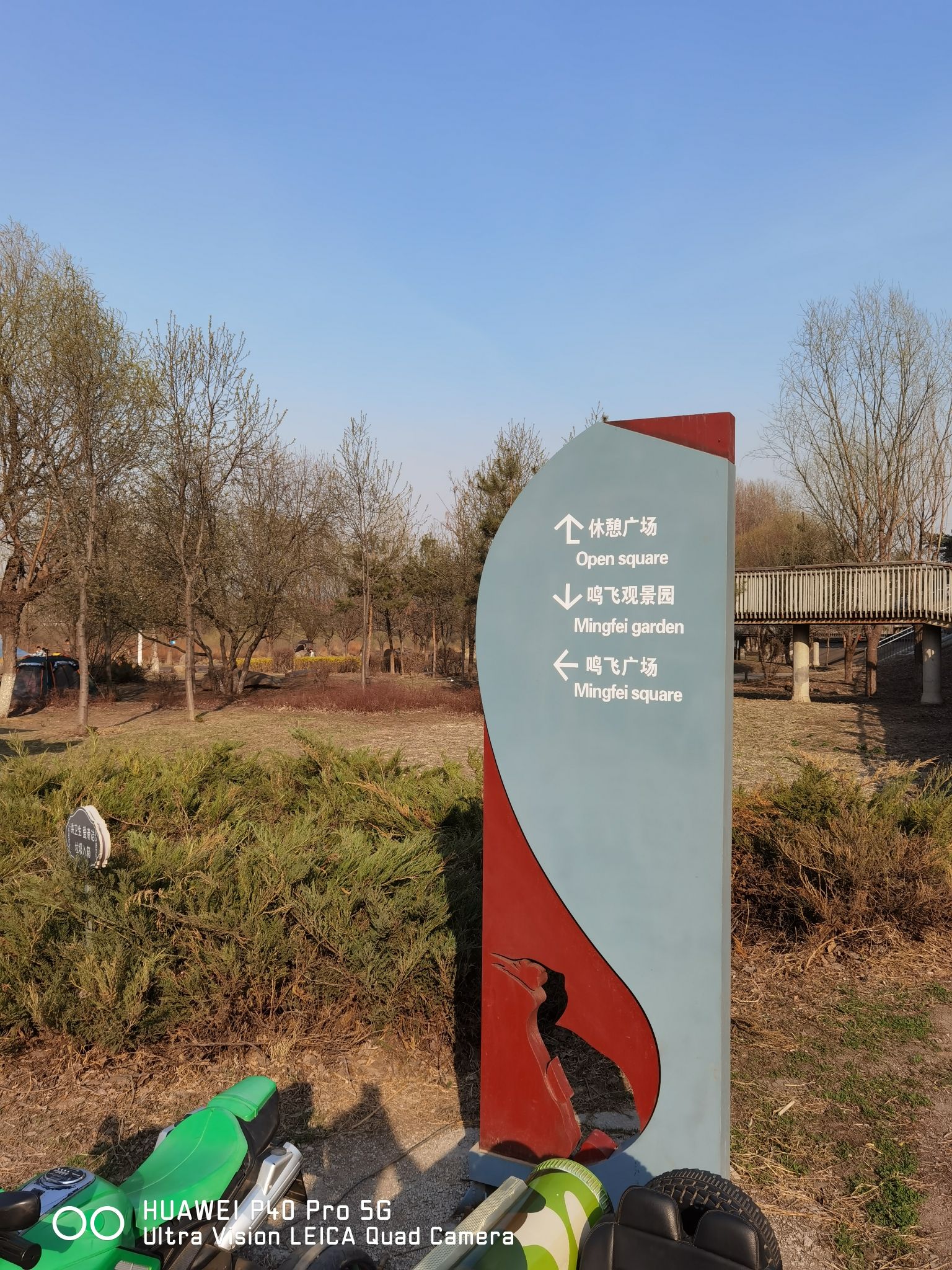 长白岛湿地公园旅行图片 2