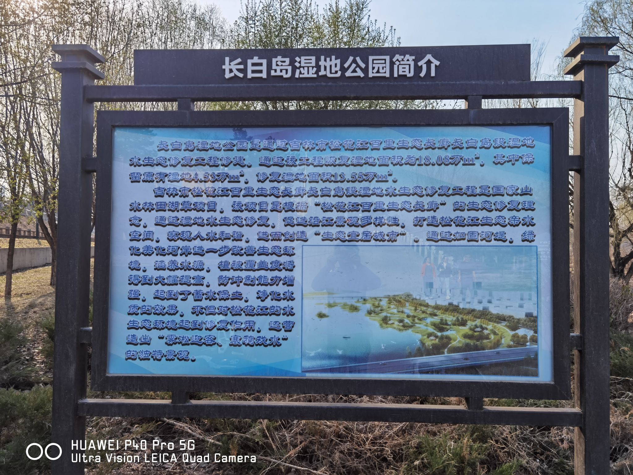 长白岛湿地公园旅行图片 1