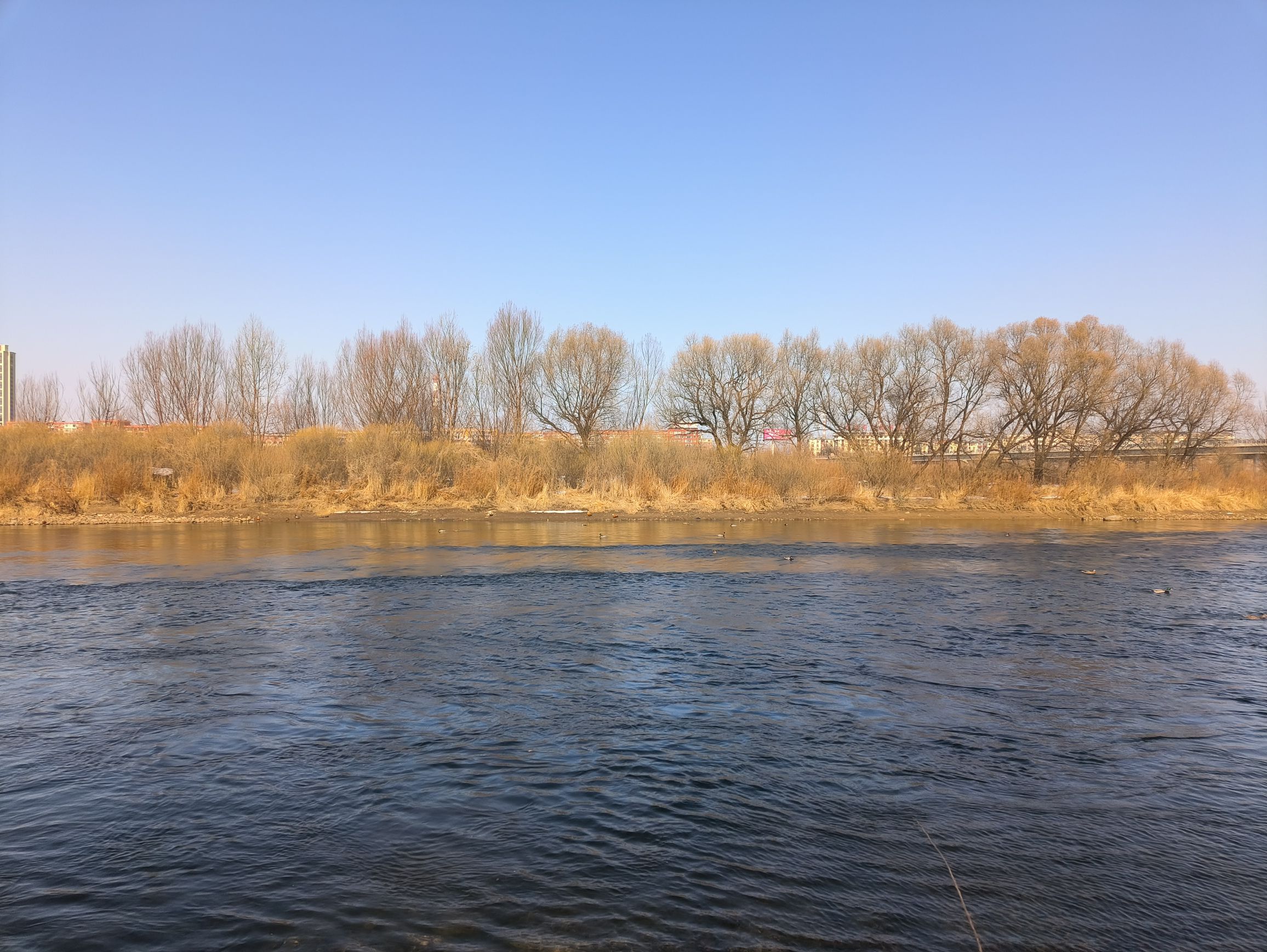 长白岛湿地公园旅行图片 2