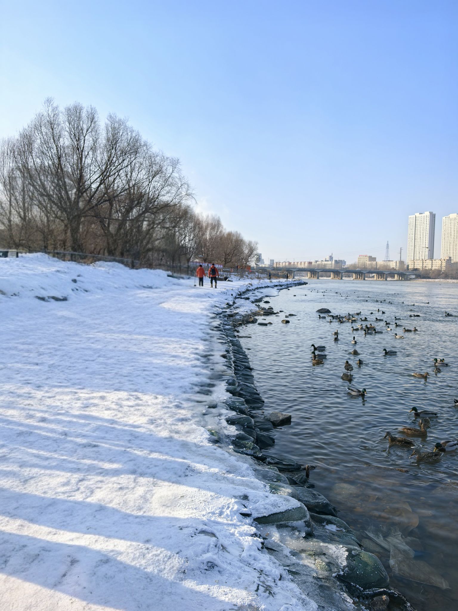 长白岛湿地公园旅行图片 3