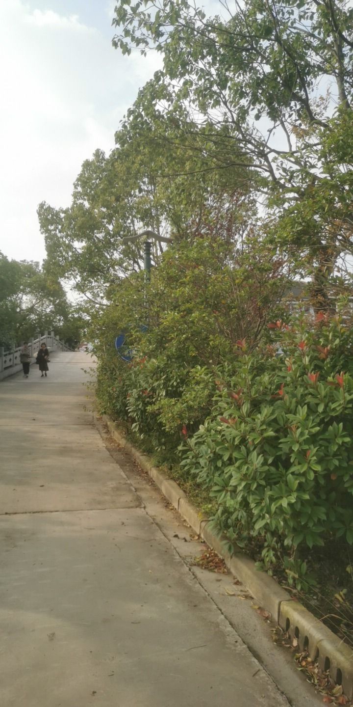 启东动物园旅行图片 1