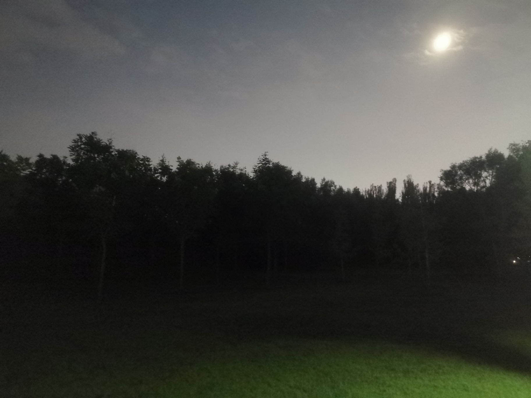 双兴公园旅行图片 3