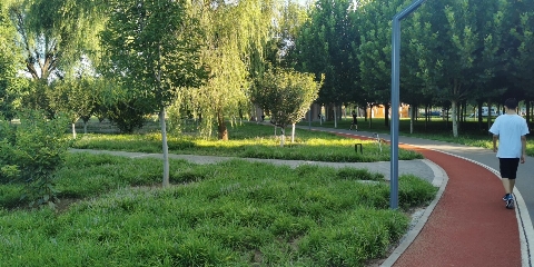 双兴公园旅行图片 3