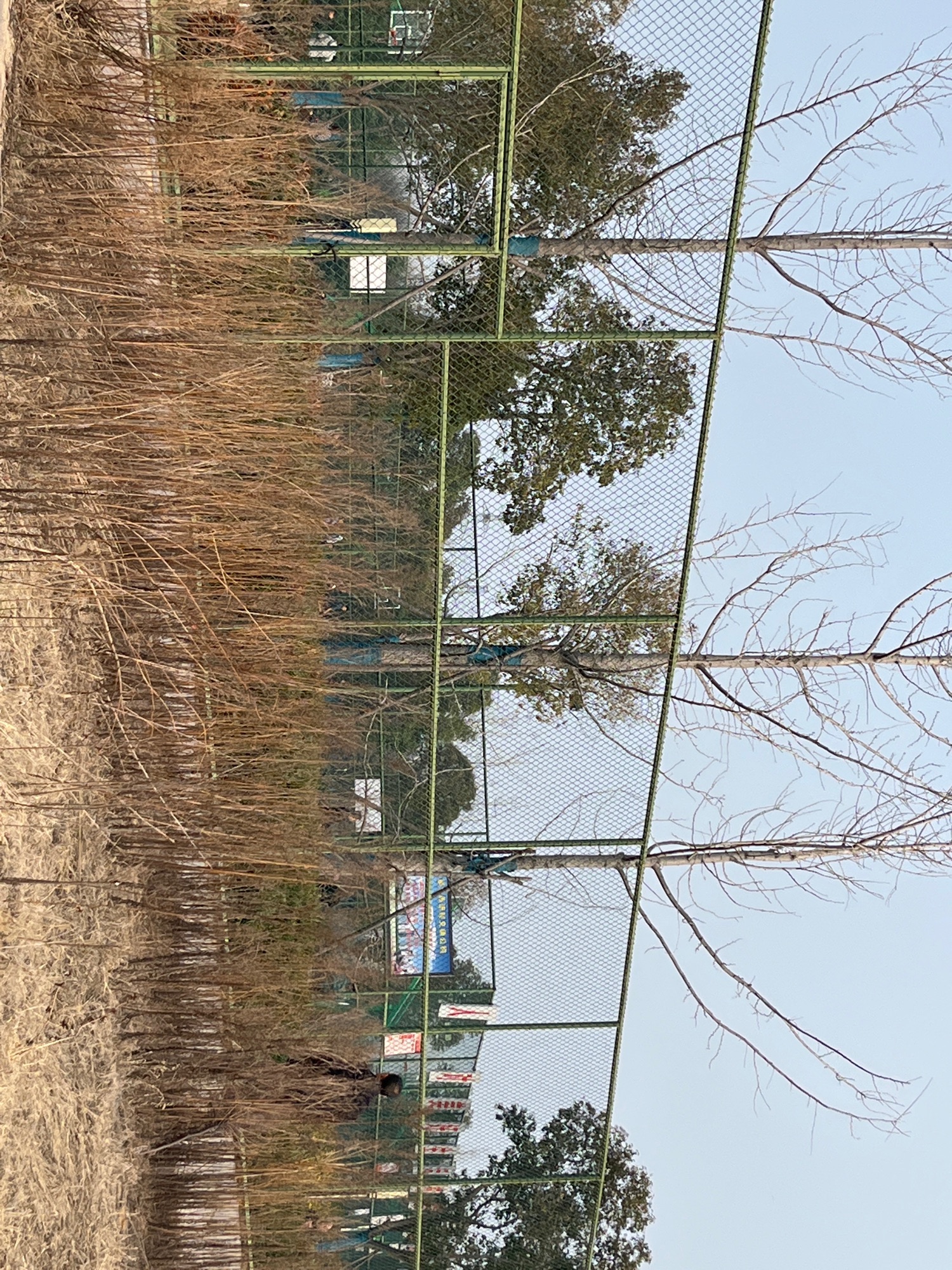 新城区奥林匹克主题公园旅行图片 1