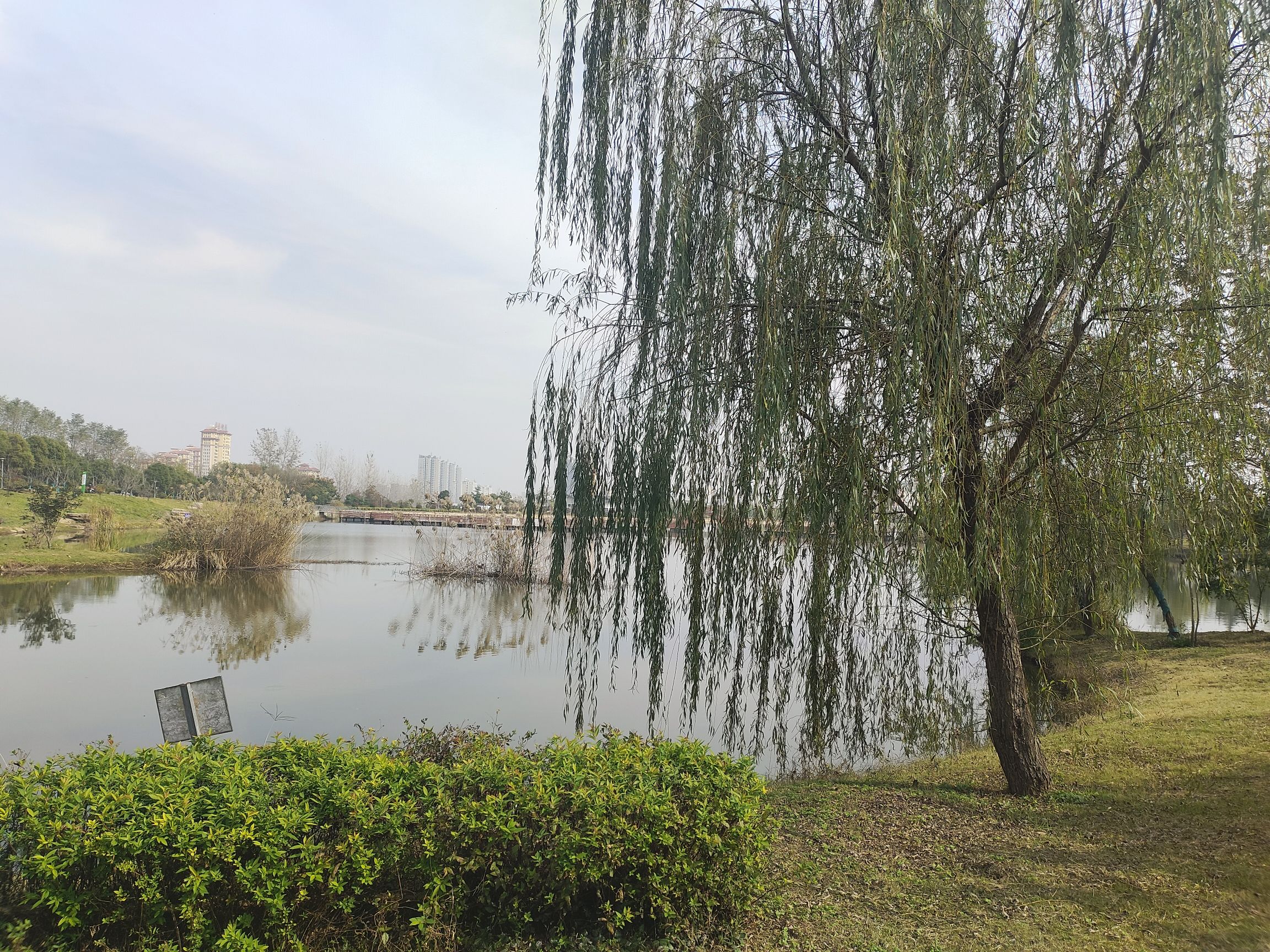 镜园公园旅行图片 2