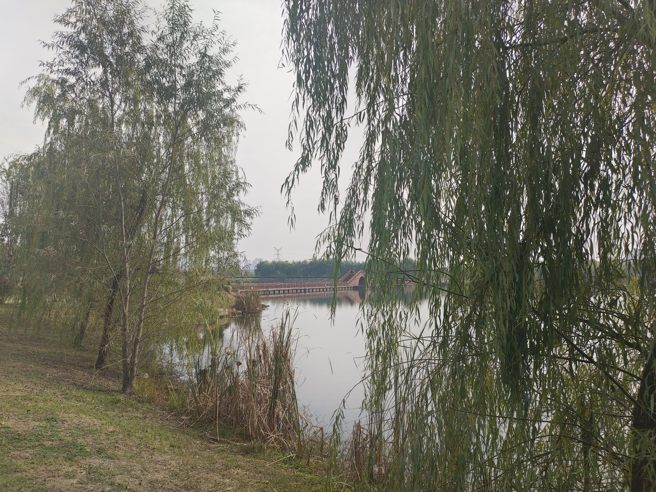 镜园公园旅行图片 1
