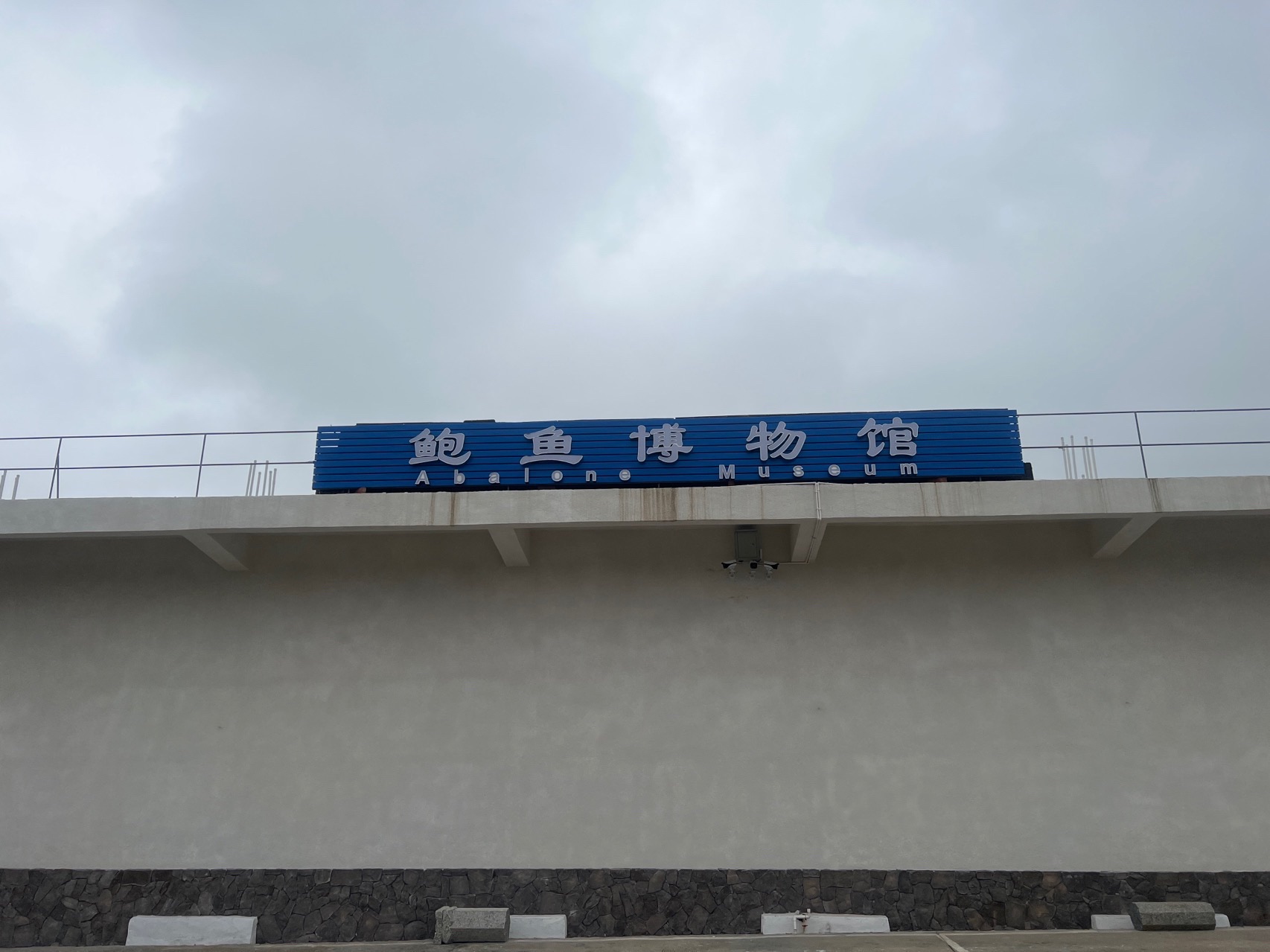 鲍鱼博物馆