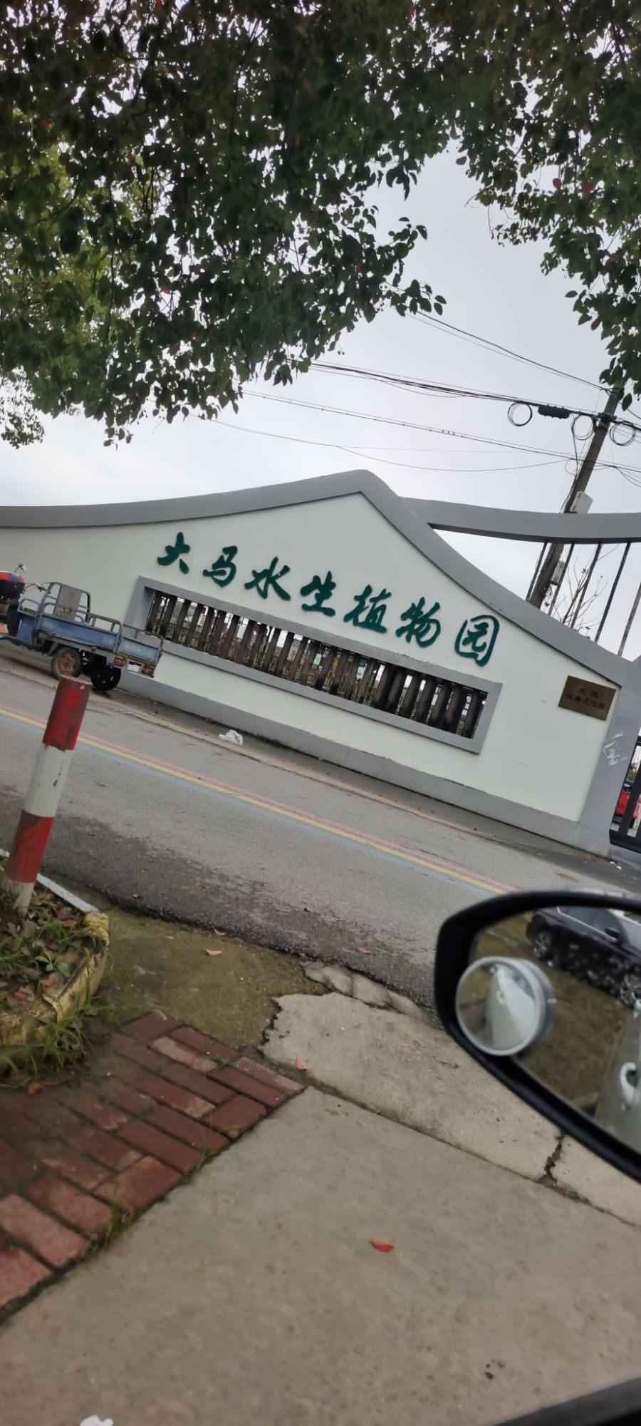 大泗镇大马水生植物园旅行图片 1