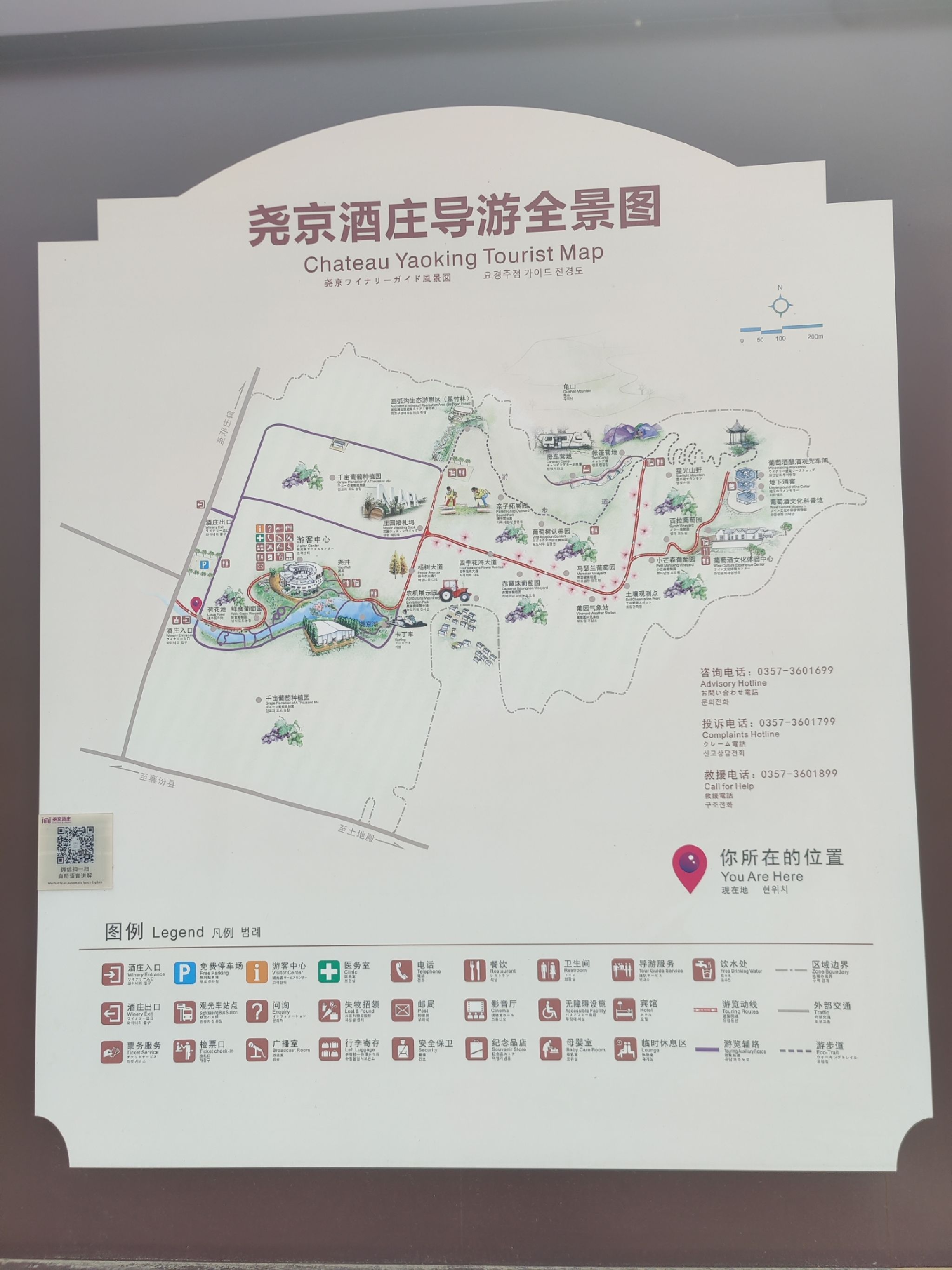 尧京酒庄旅行图片 3