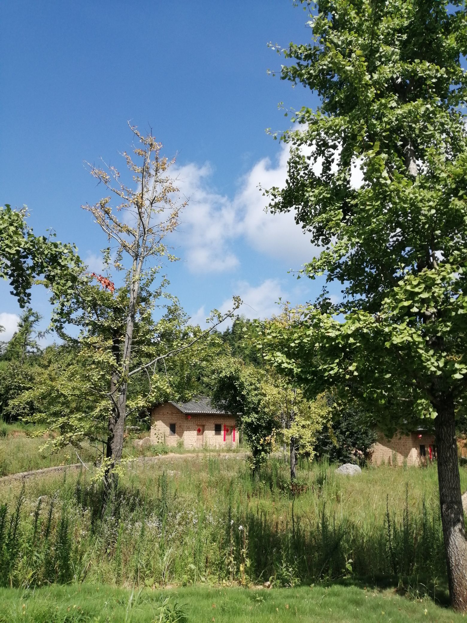 云峰山·狮子寨生态旅游景区旅行图片 2