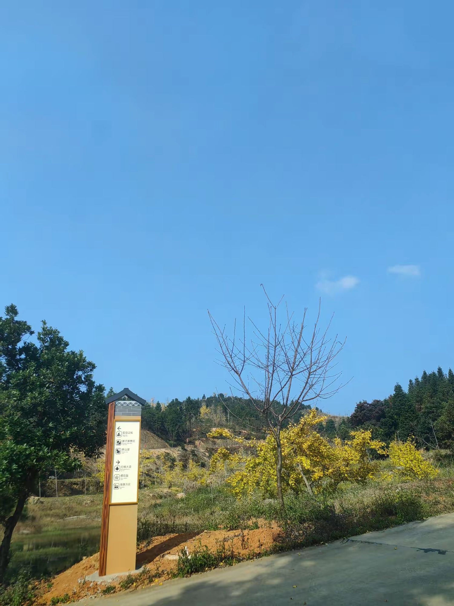 云峰山·狮子寨生态旅游景区旅行图片 2