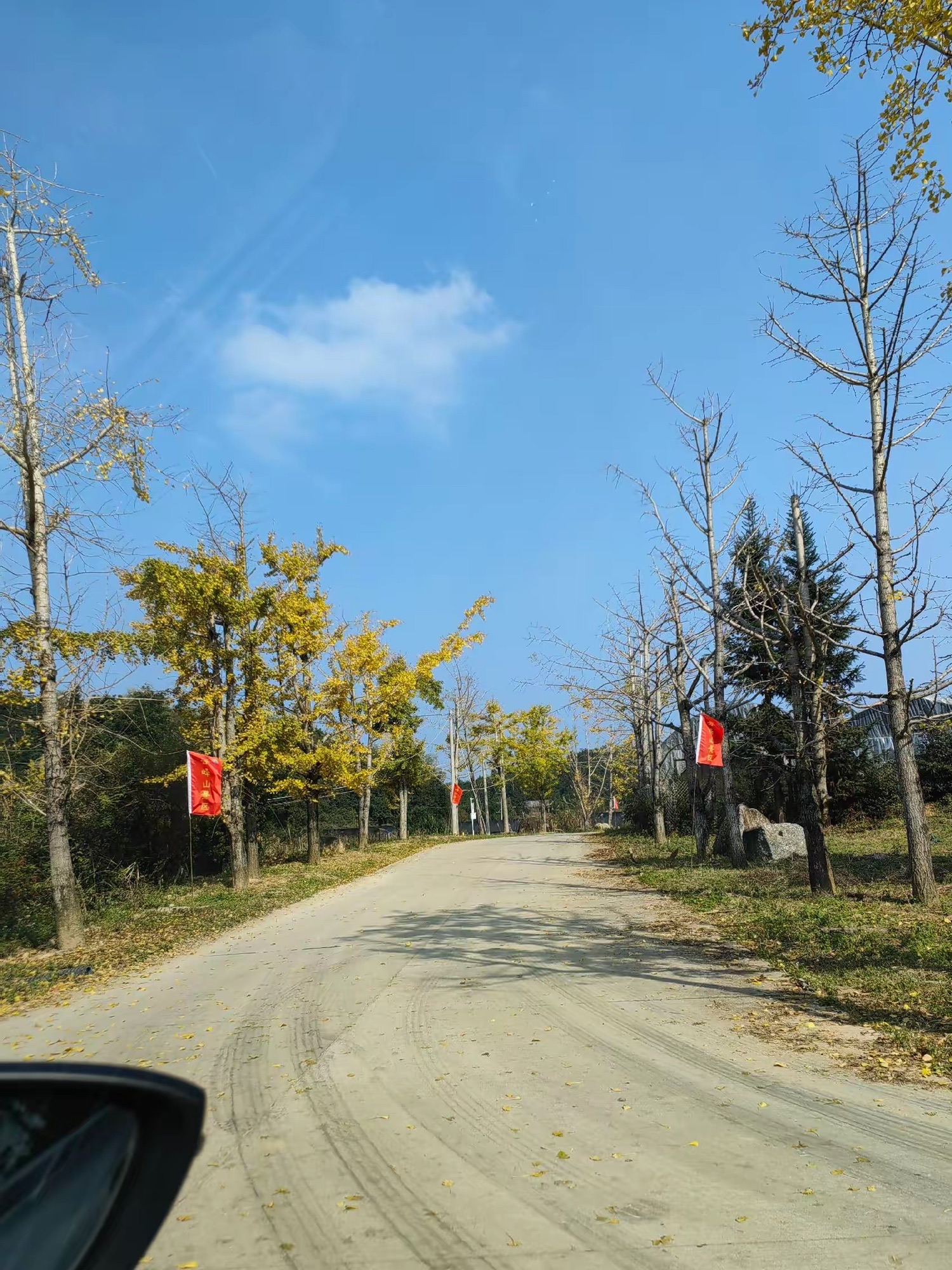云峰山·狮子寨生态旅游景区旅行图片 3