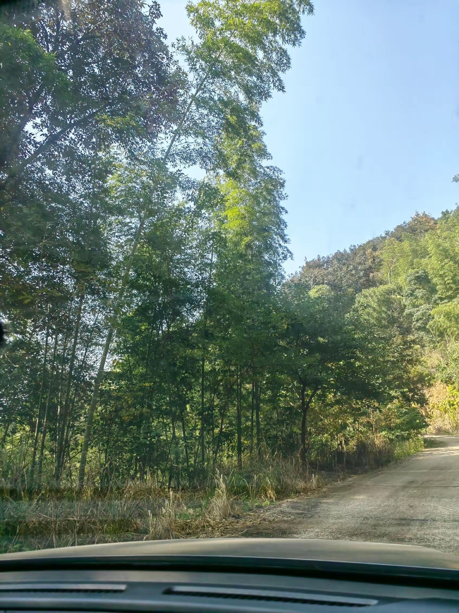 云峰山·狮子寨生态旅游景区旅行图片 1