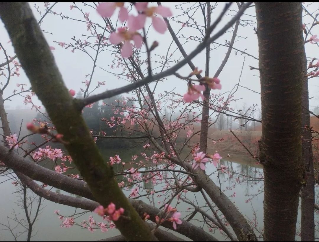 云峰山·狮子寨生态旅游景区旅行图片 2