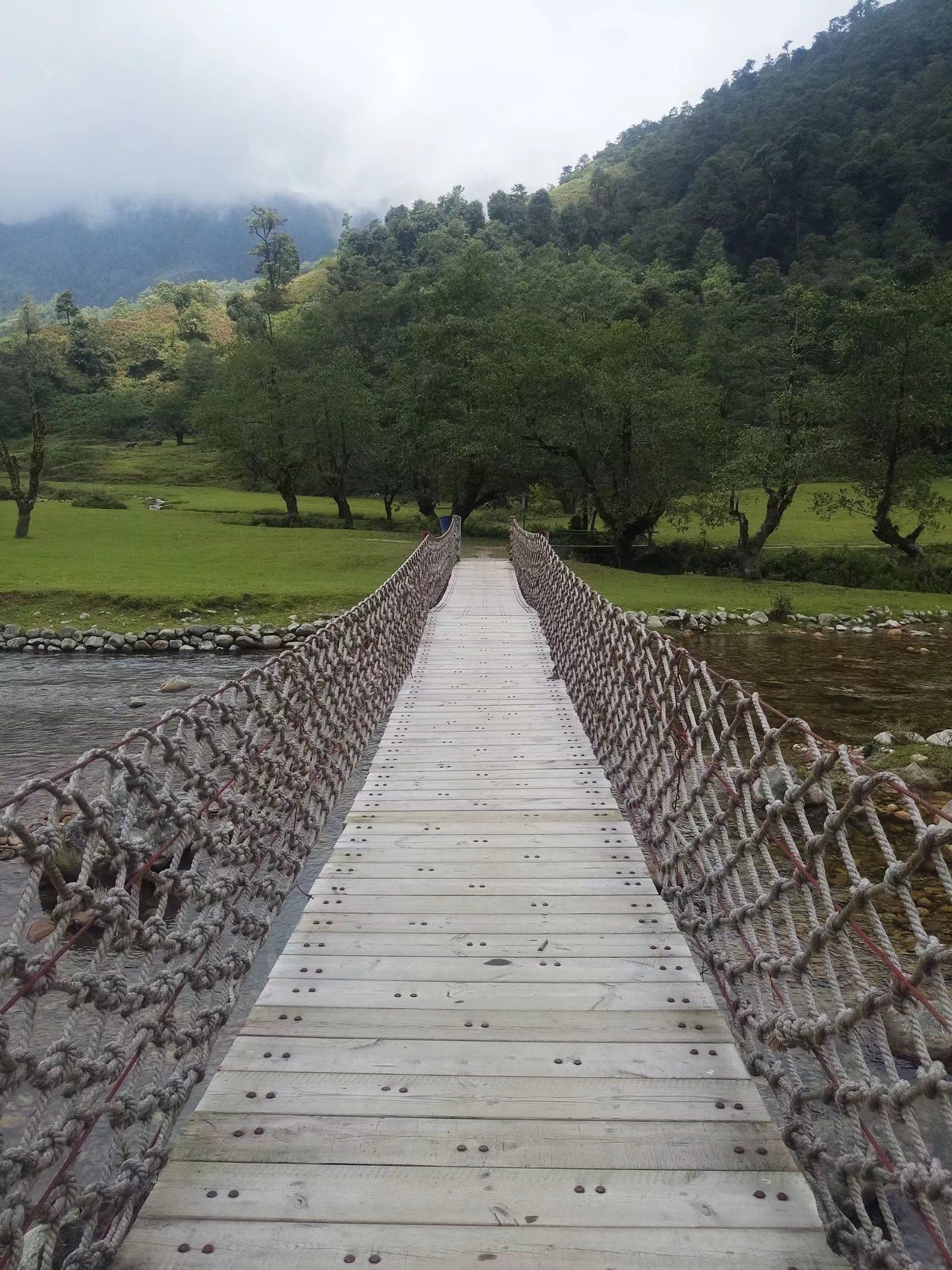 坪河草地露营景区
