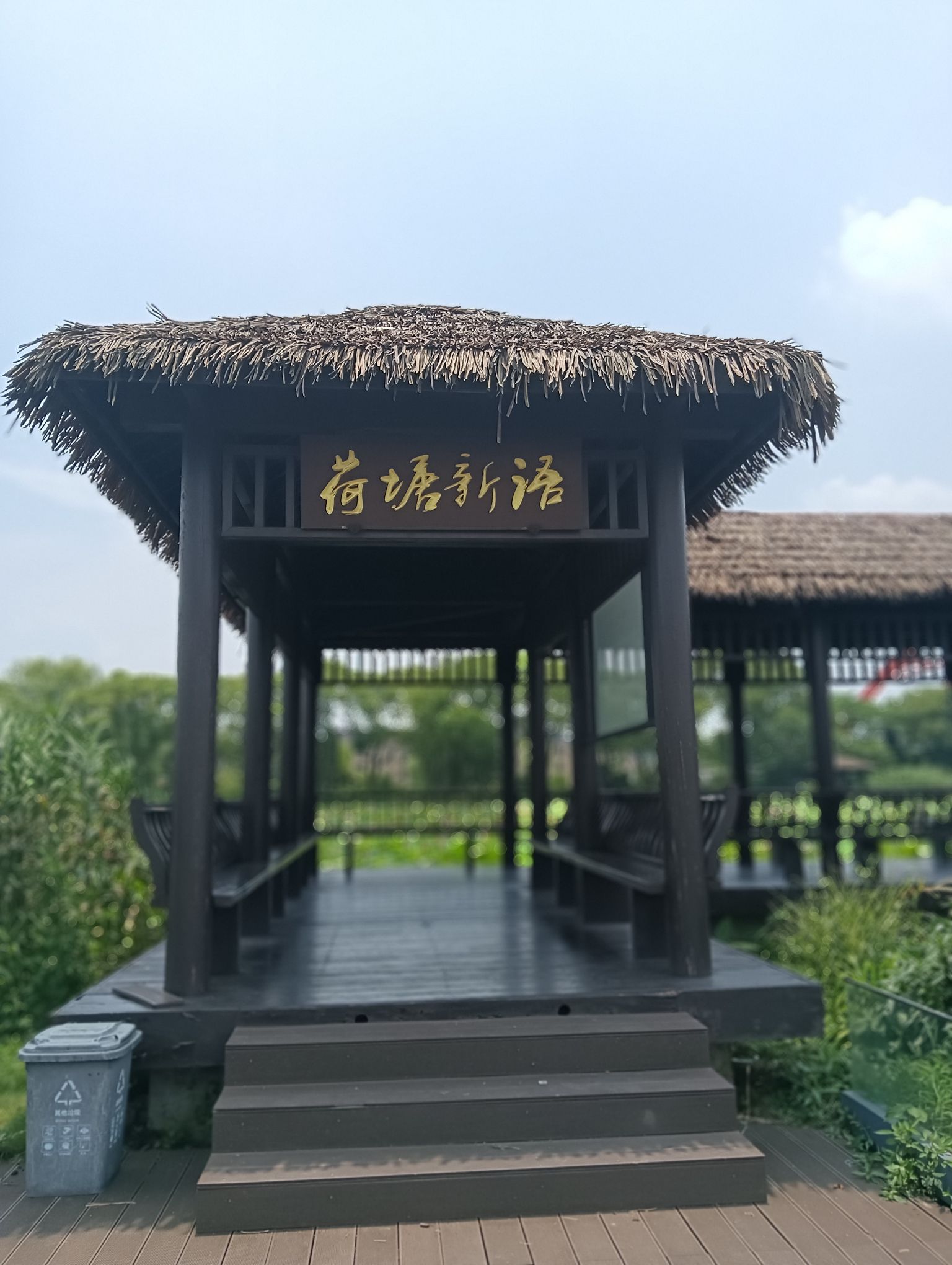 运河街道千亩荷塘东园旅行图片 3
