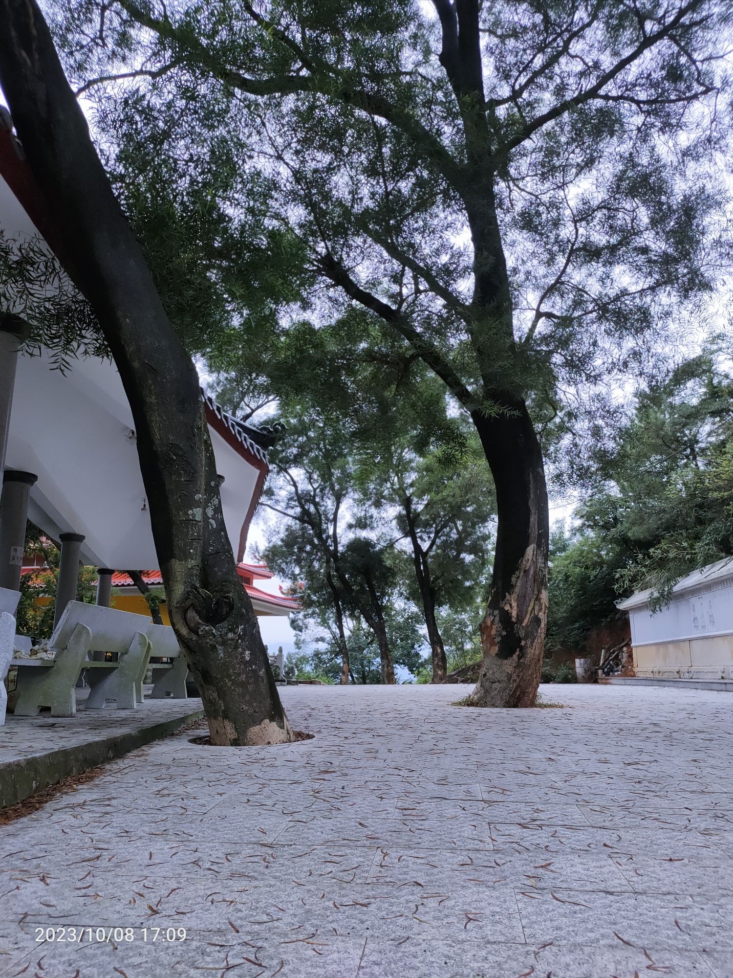 狮子岩风景区旅行图片 1