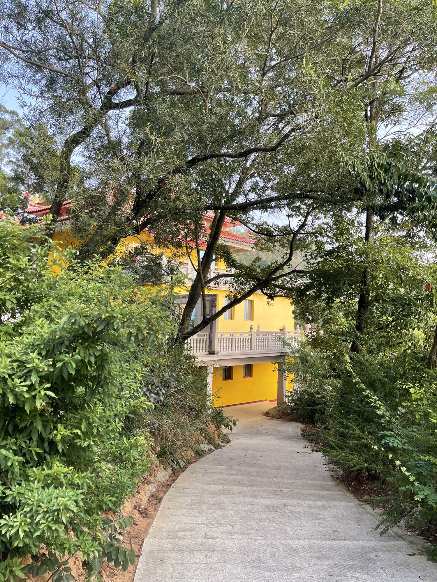狮子岩风景区旅行图片 2