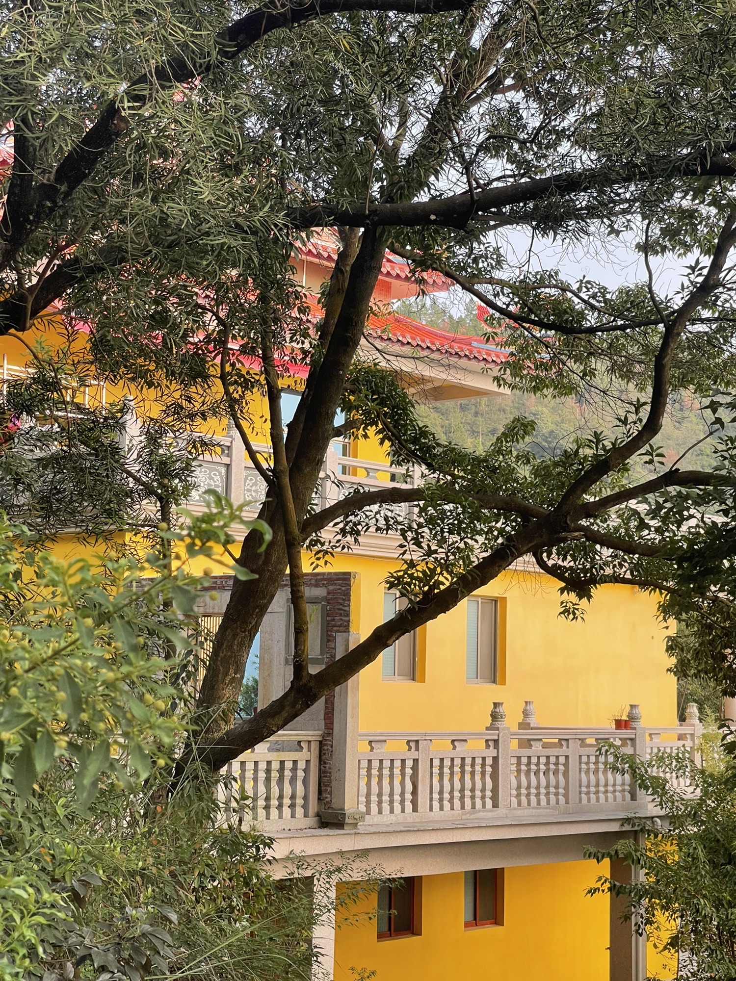 狮子岩风景区旅行图片 1