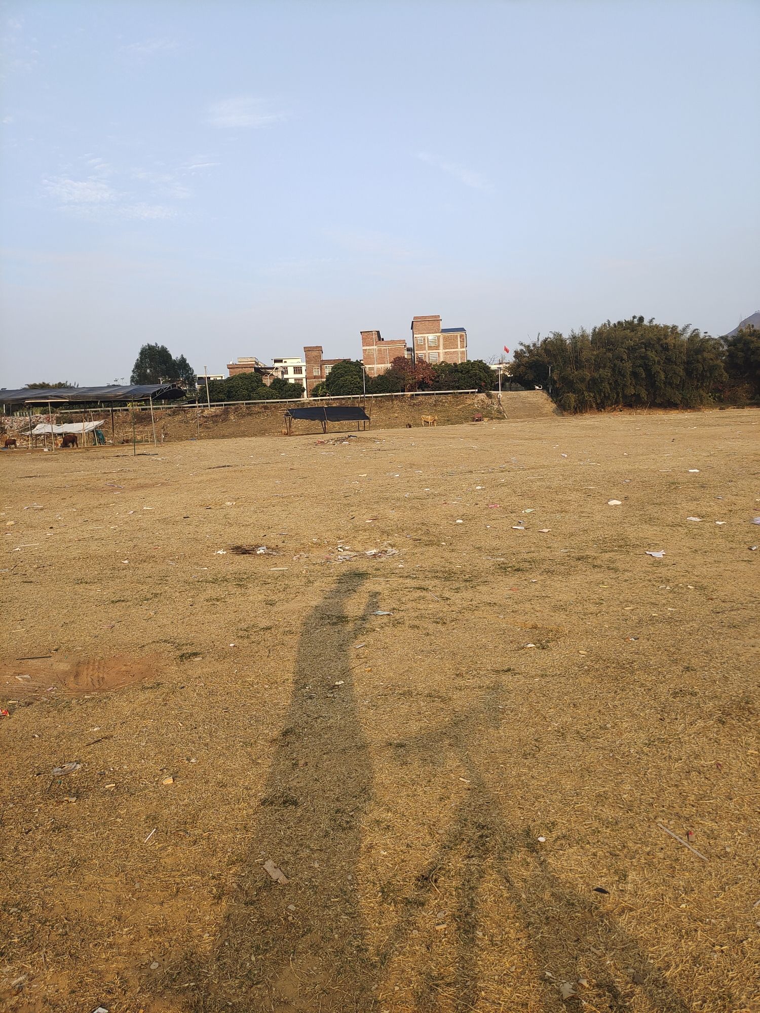 沙洲风景区旅行图片 1