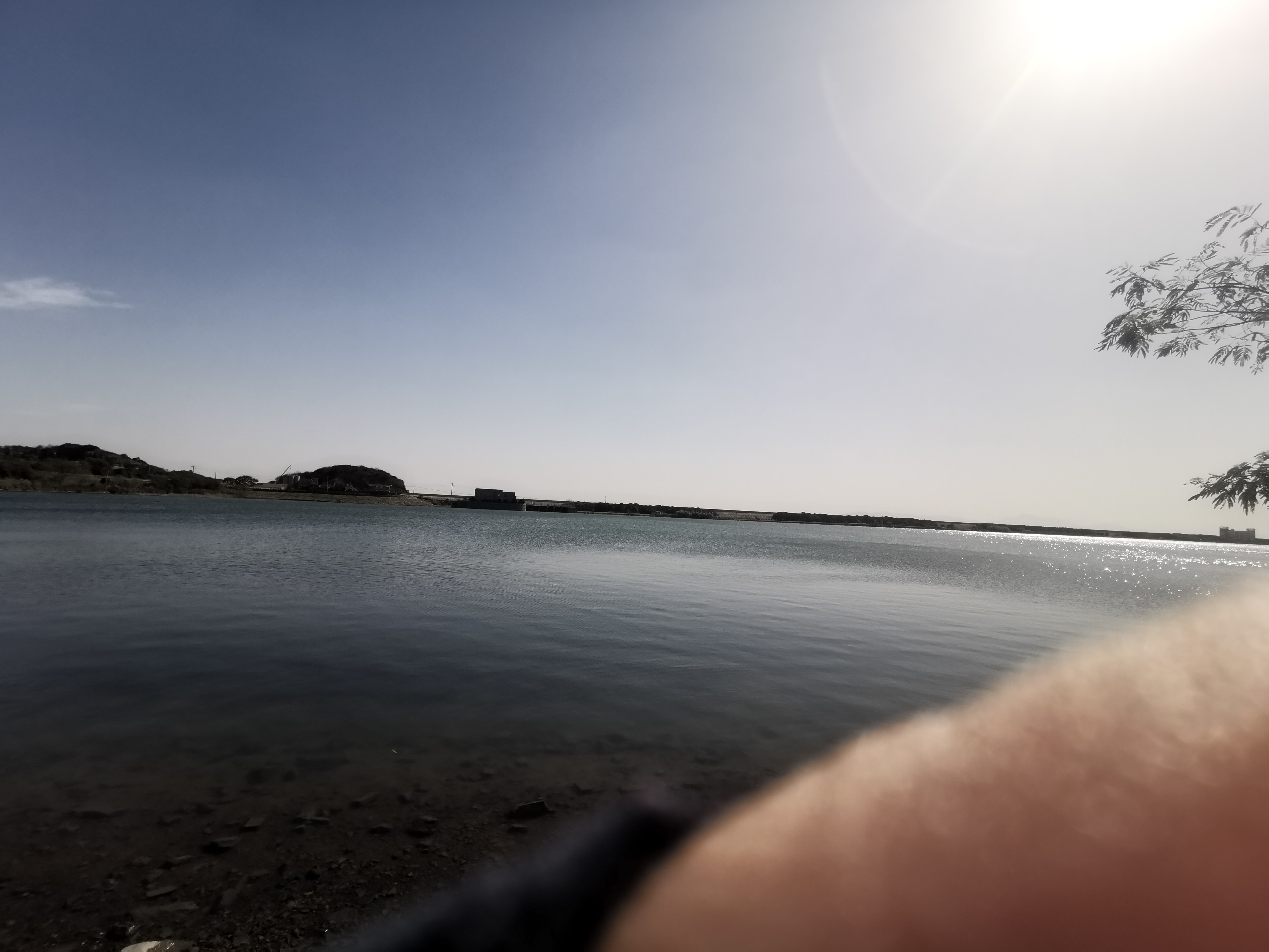 春晓生态休闲公园旅行图片 3