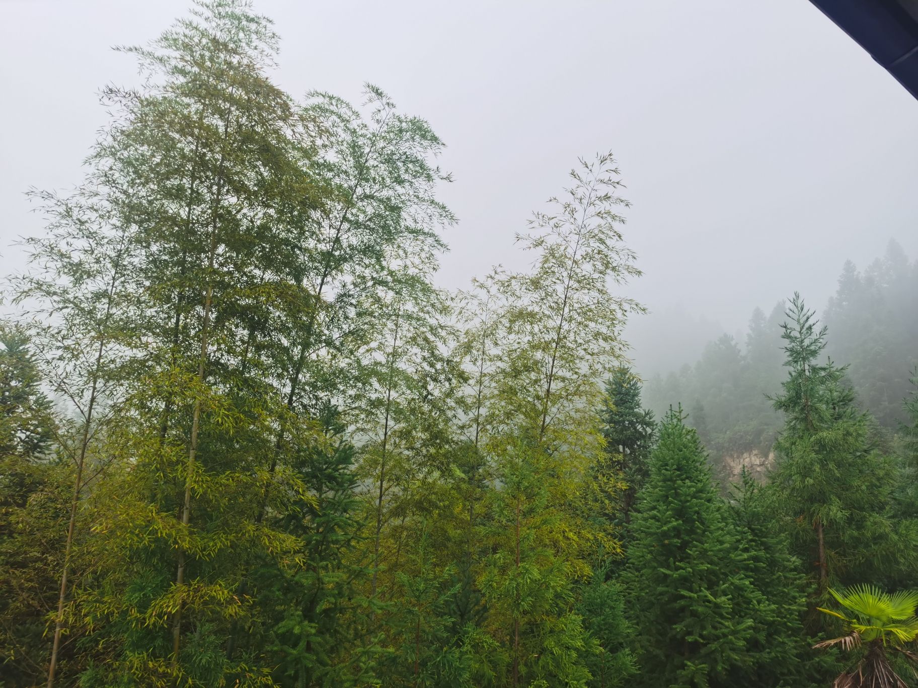 百草园景区旅行图片 2