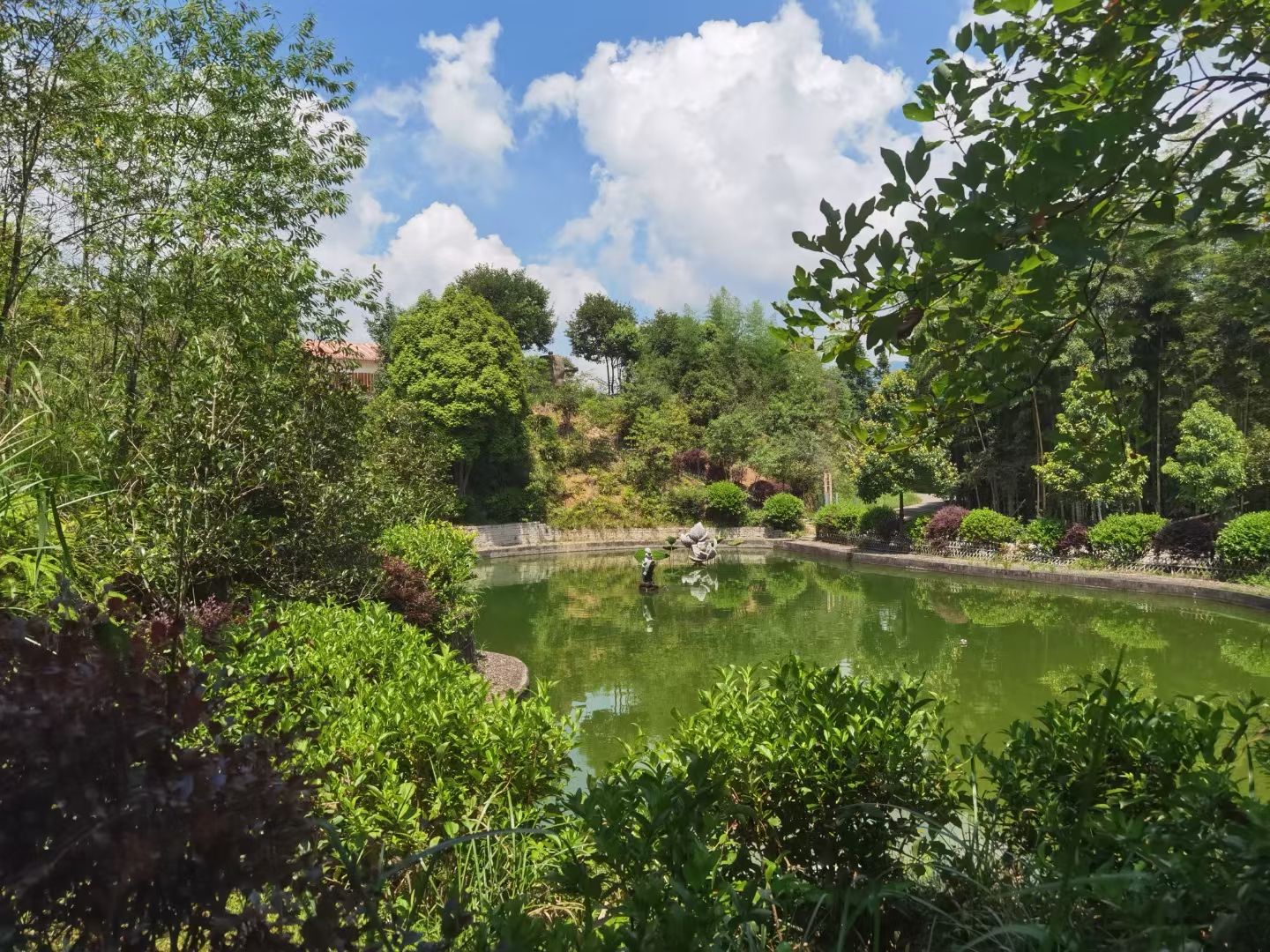 百草园景区旅行图片 3