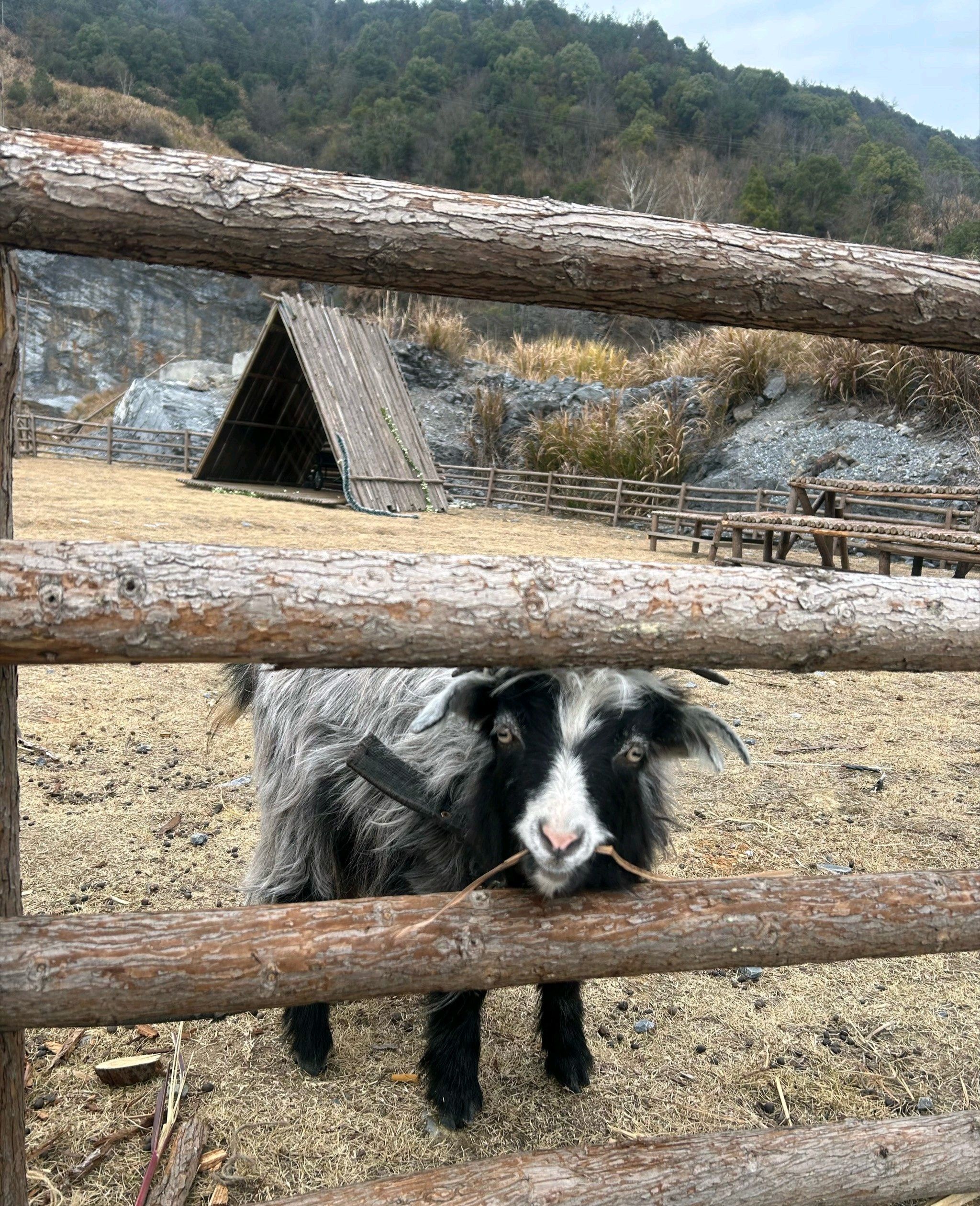 达那也·金华山小冰岛旅行图片 1