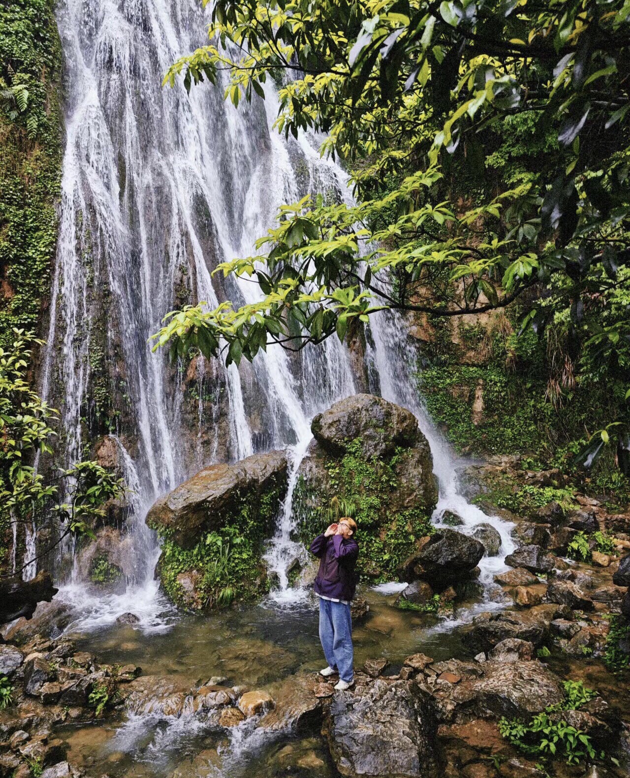 莲花瀑布旅行图片 3