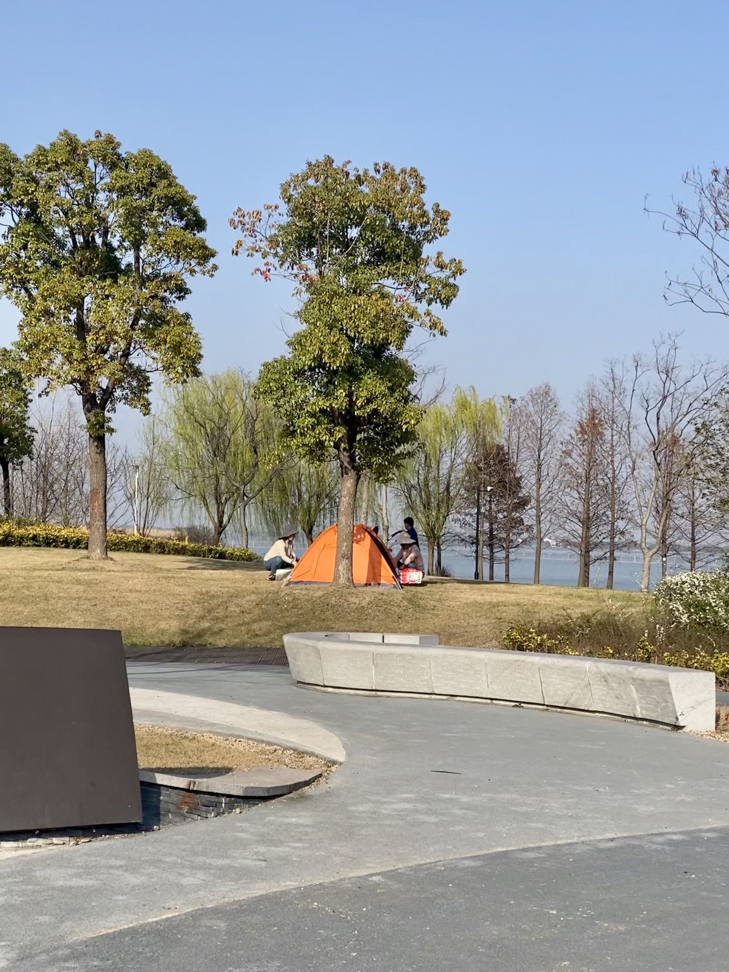 震泽生态运动公园旅行图片 2