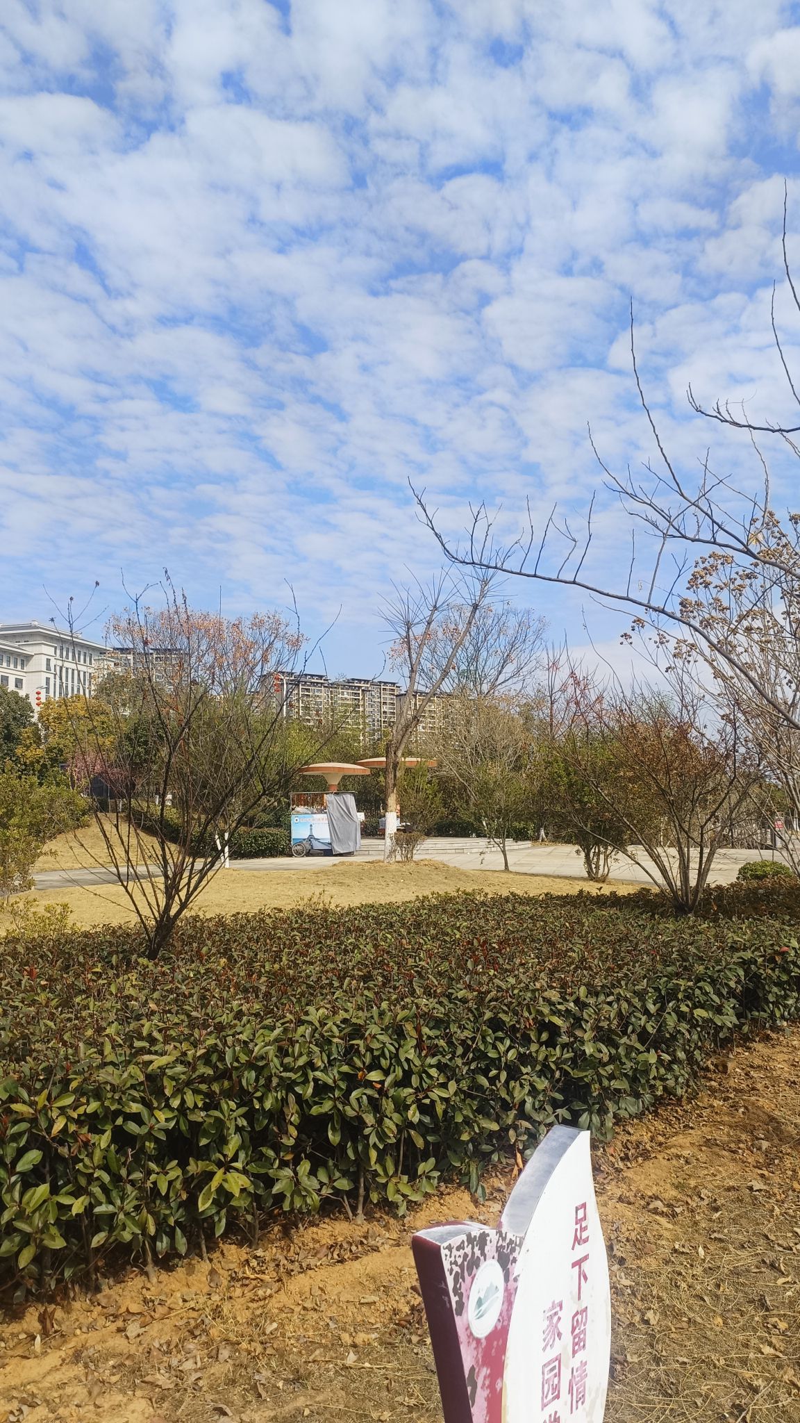 宁都梅江国家湿地公园旅行图片 3