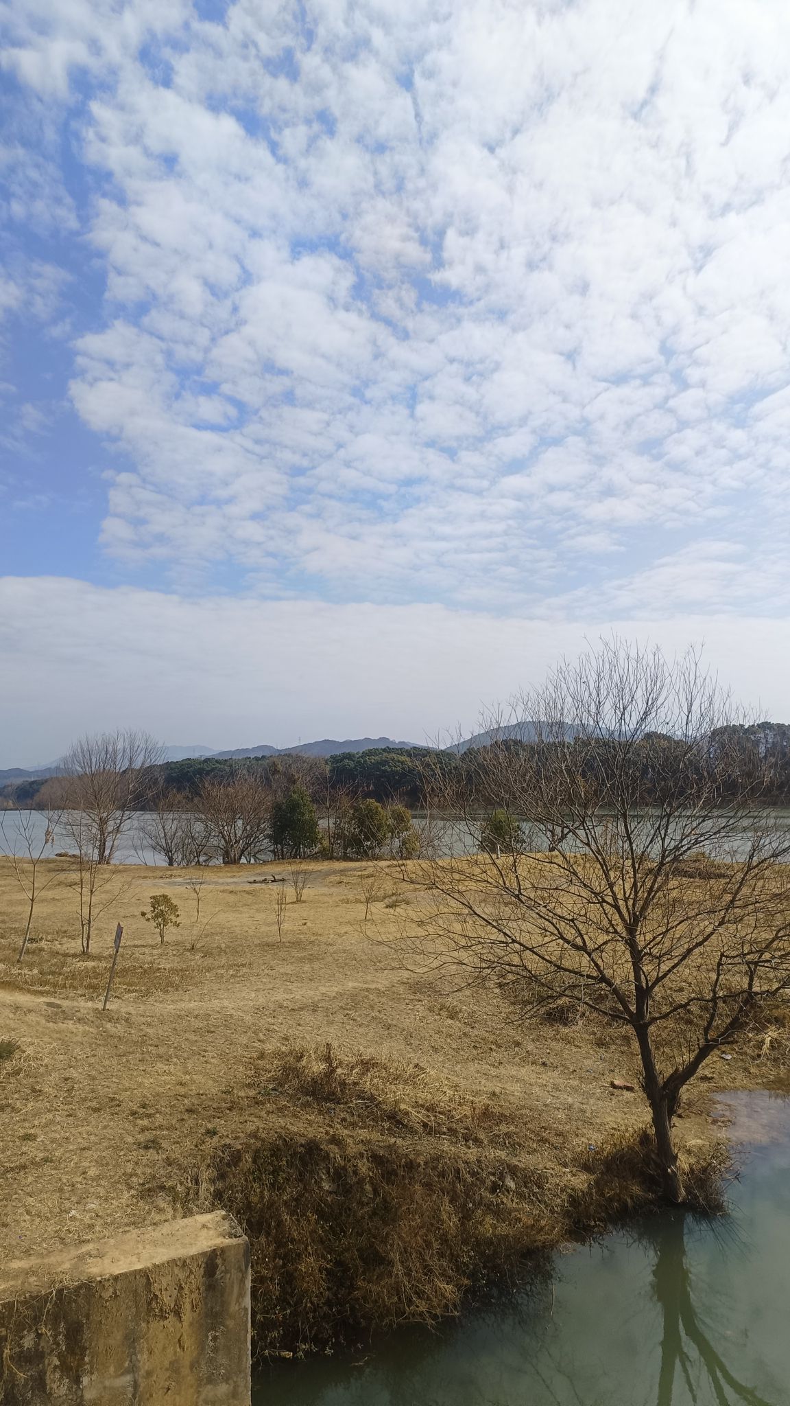 宁都梅江国家湿地公园旅行图片 2