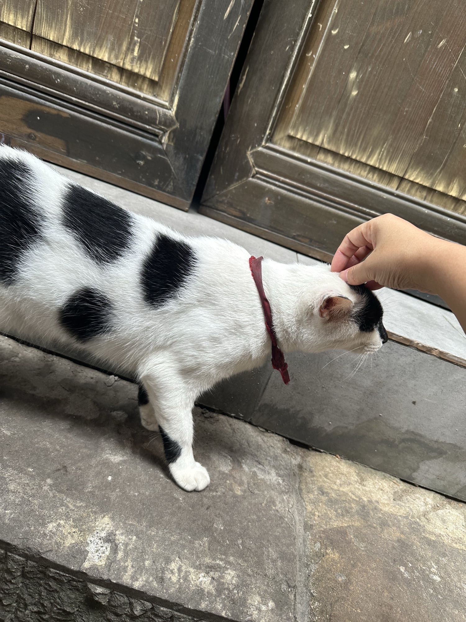 黄桷垭老街旅行图片 3