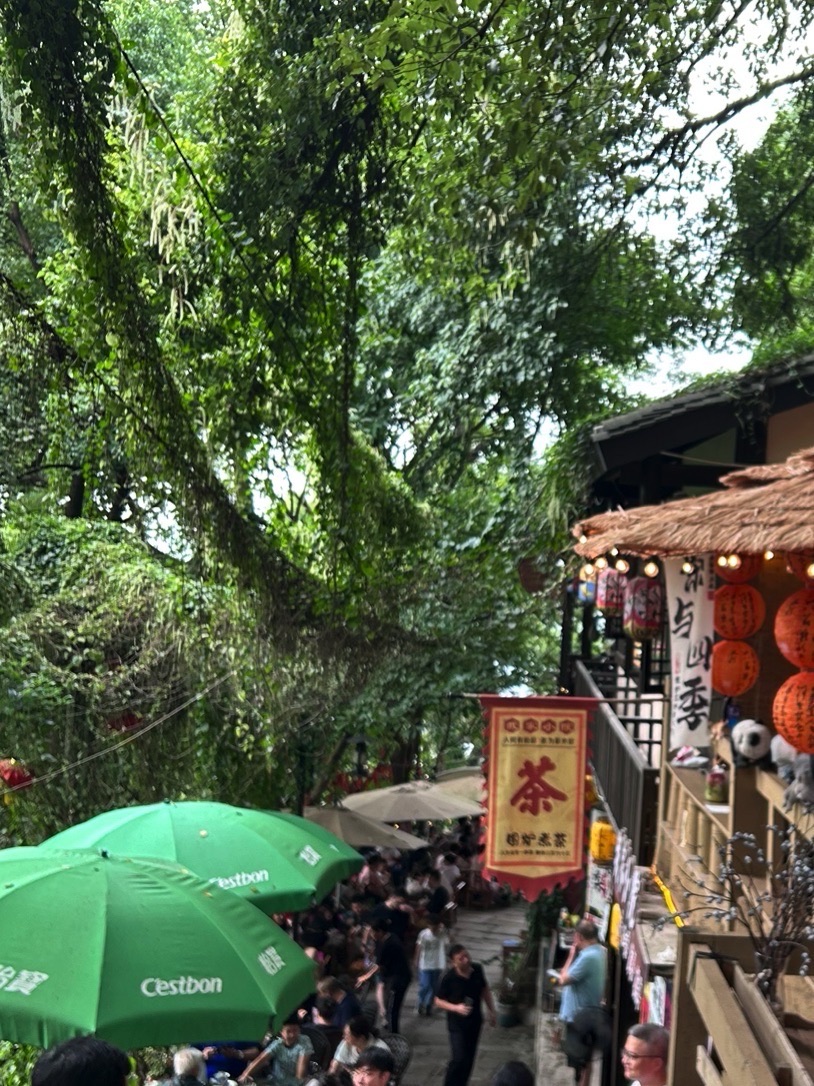 黄桷垭老街旅行图片 3