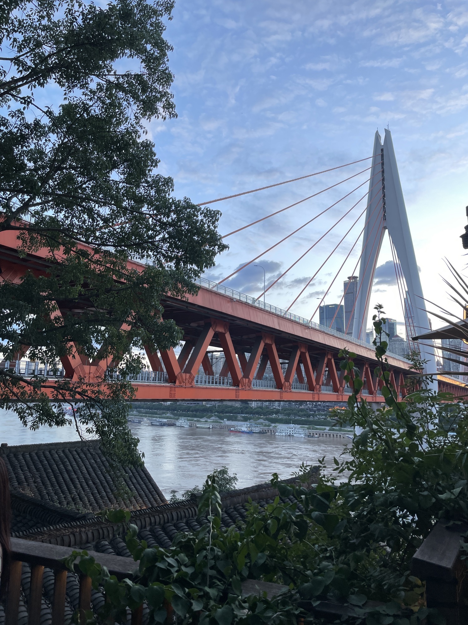 黄桷垭老街旅行图片 2