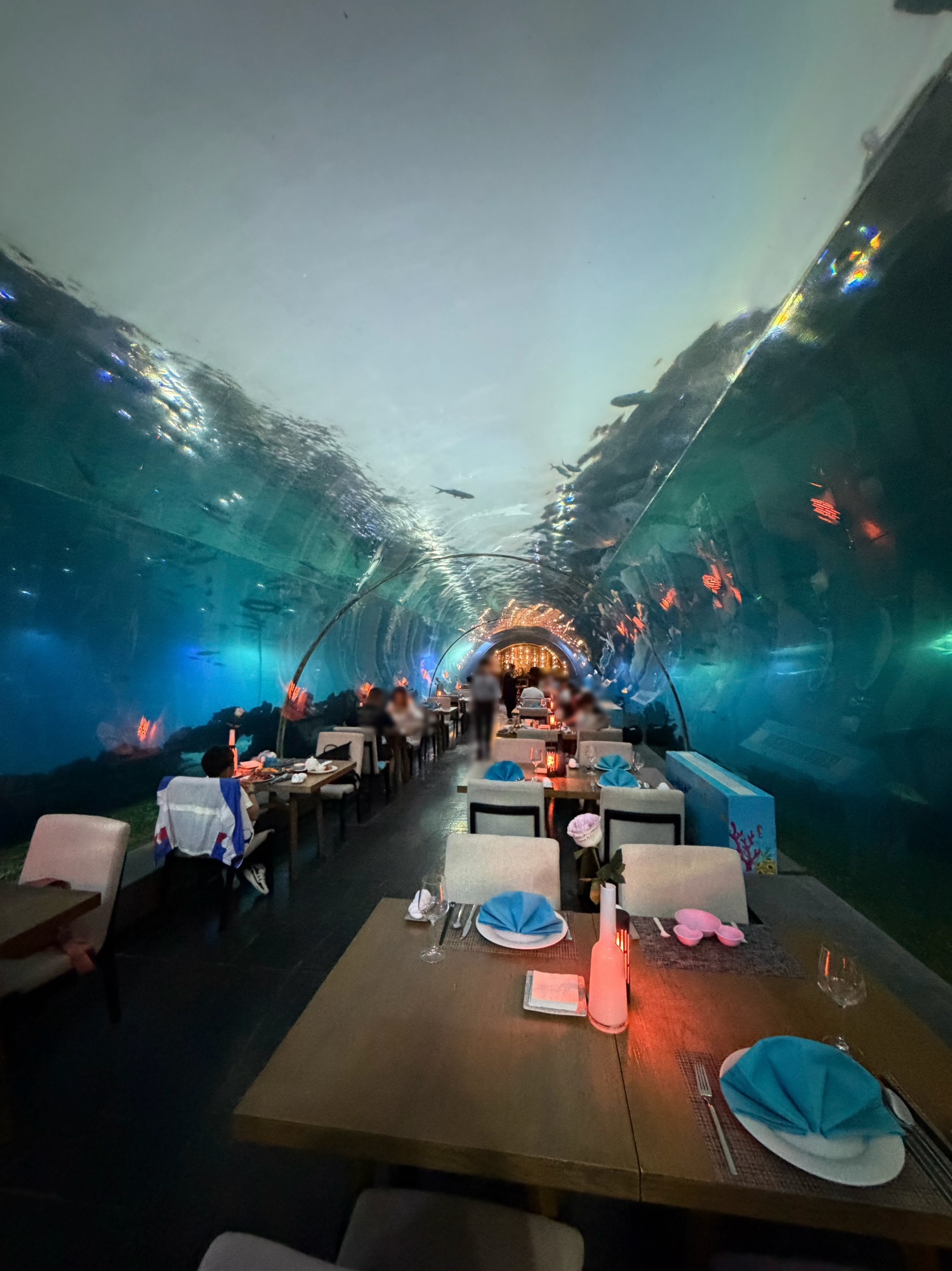涛-海底餐厅(三亚海棠湾洲际度假酒店)