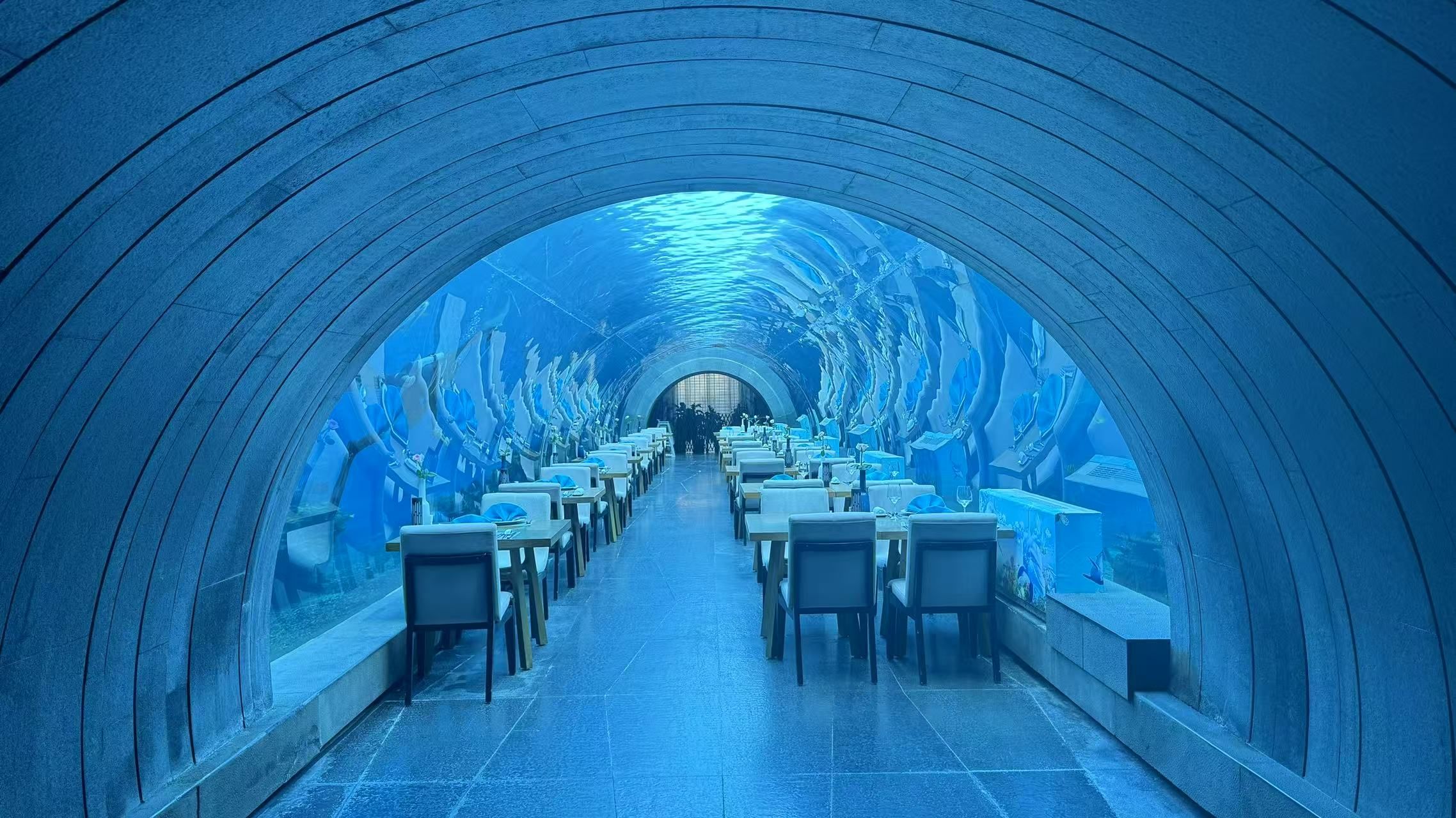 涛-海底餐厅(三亚海棠湾洲际度假酒店)