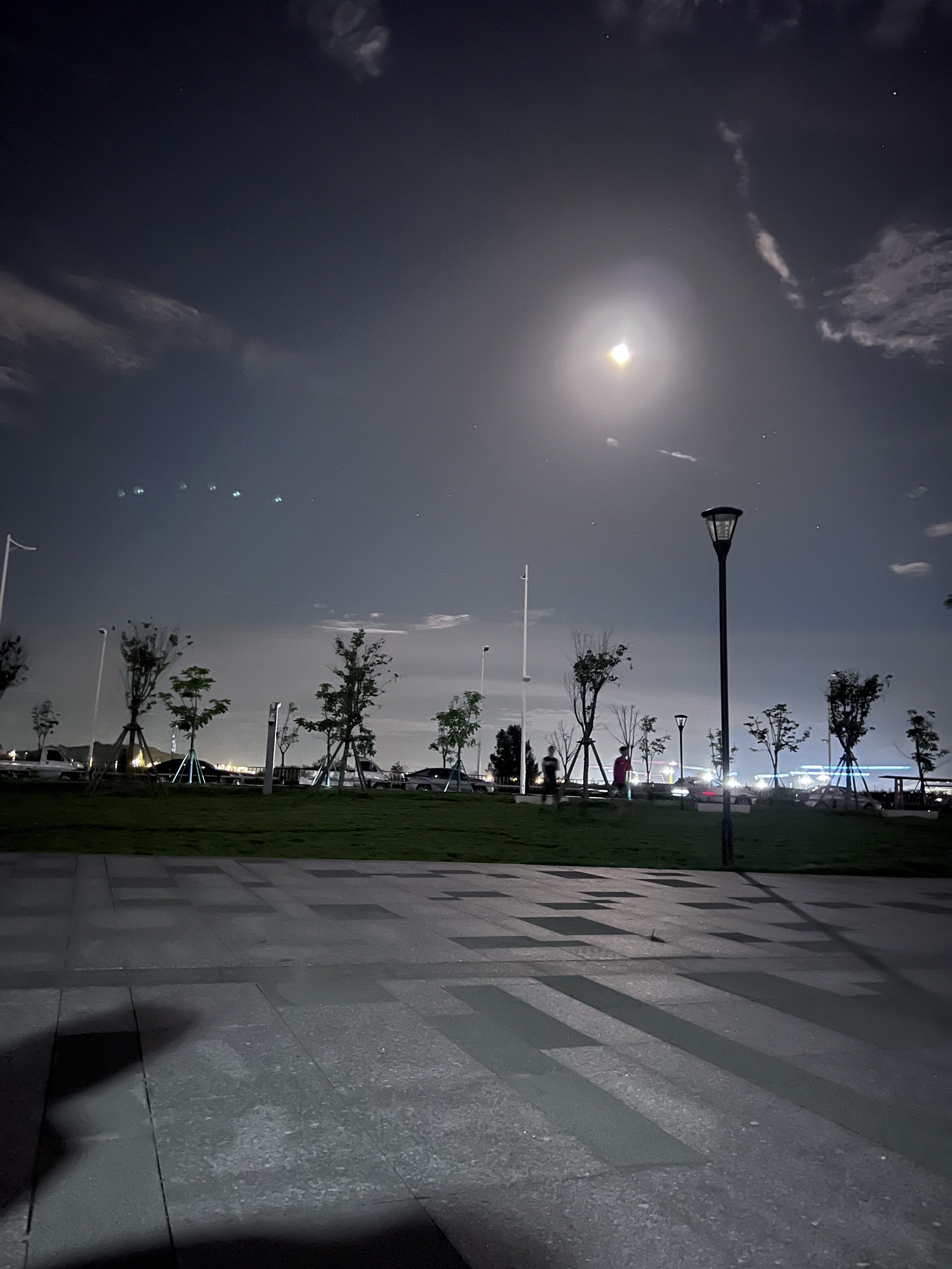 东海岸大道堤坝观景点旅行图片 2