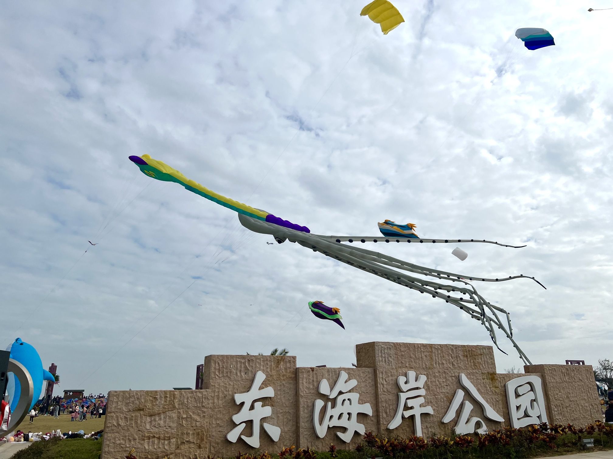 东海岸大道堤坝观景点