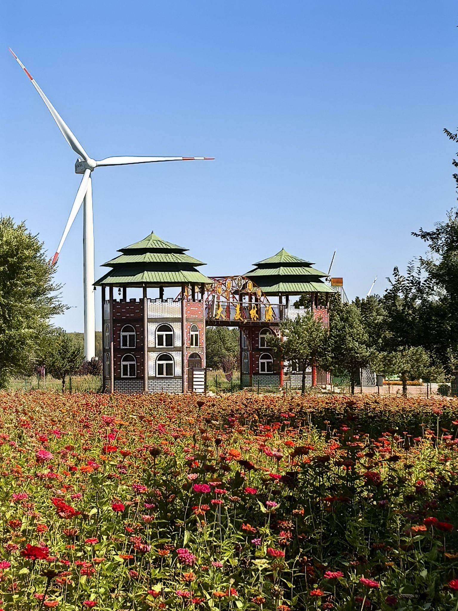 林间花海