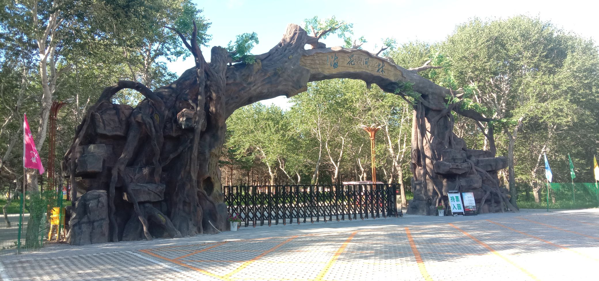 林间花海旅行图片 1
